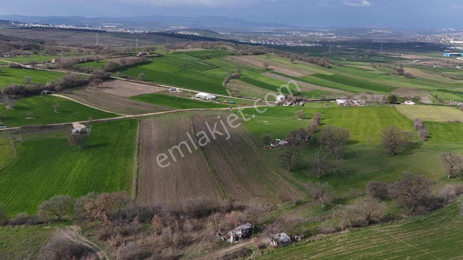 Expert'ten Bursa Nilüfer Özlücede Satılık 9.339 M² Tarla - Görsel 2