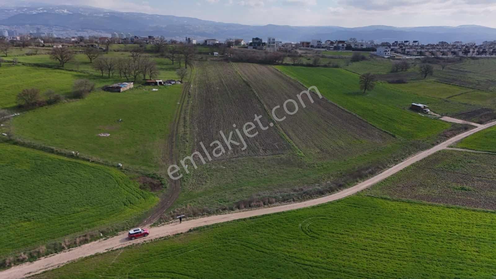 Expert'ten Bursa Nilüfer Özlücede Satılık 9.339 M² Tarla - Görsel 19