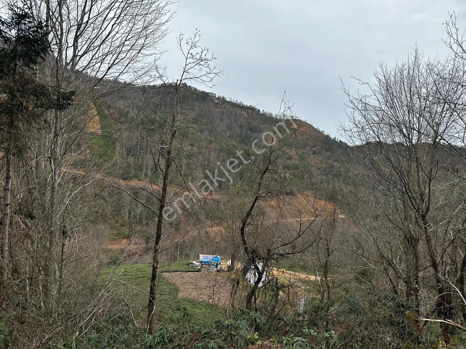 Trabzon Of'ta Satılık Arazi - Görsel 16