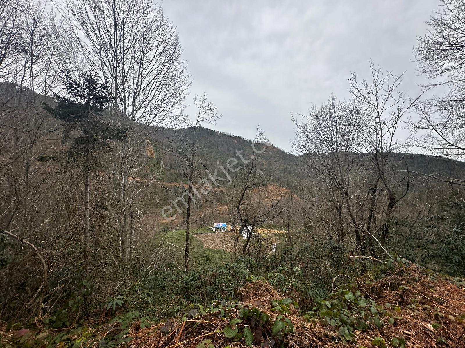 Trabzon Of'ta Satılık Arazi - Görsel 2