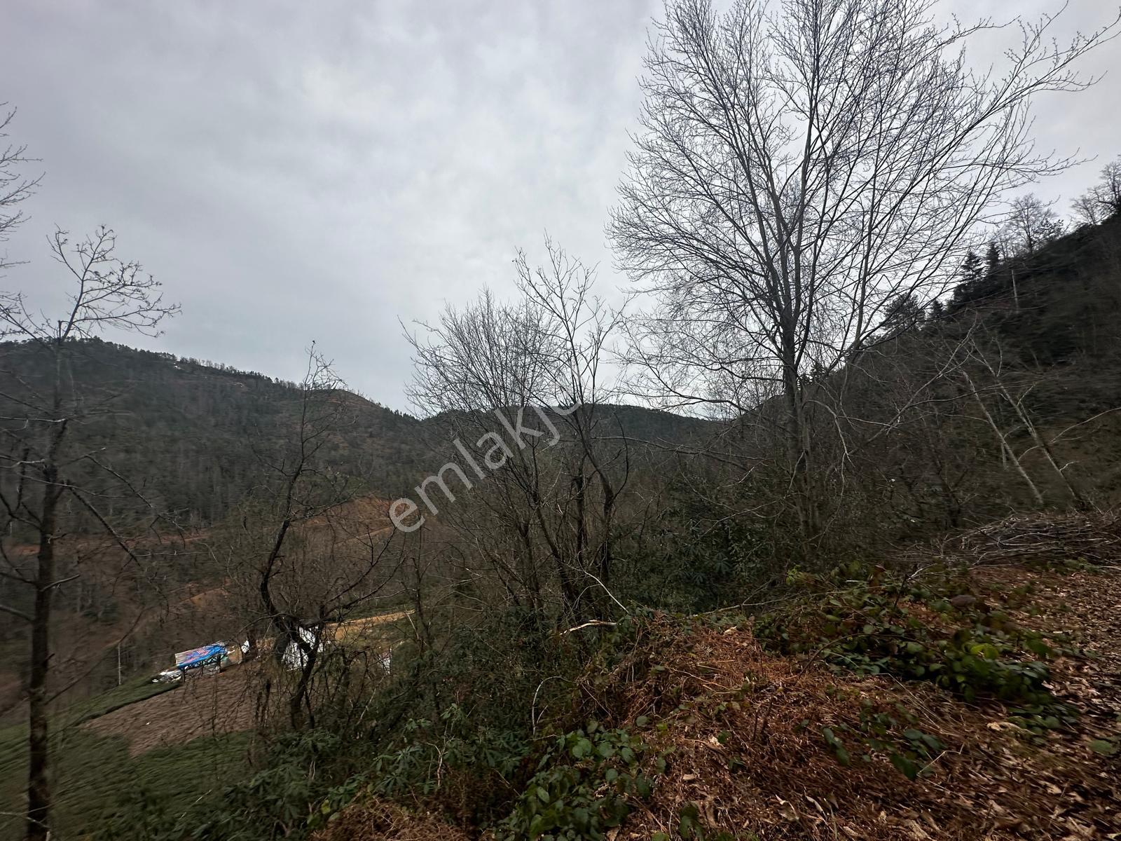 Trabzon Of'ta Satılık Arazi - Görsel 13