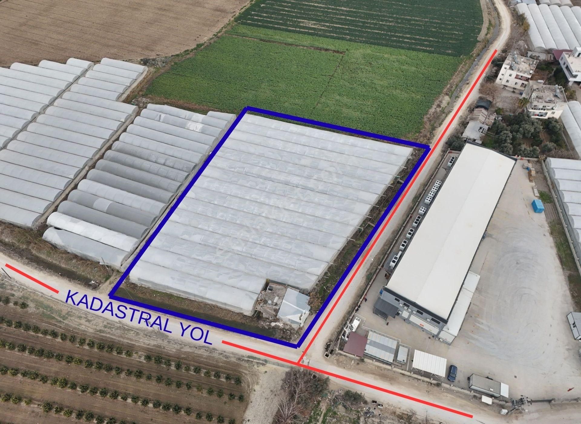 Mersin Akdeniz Kazanlı Mah. Satılık Sera Ve Arsası