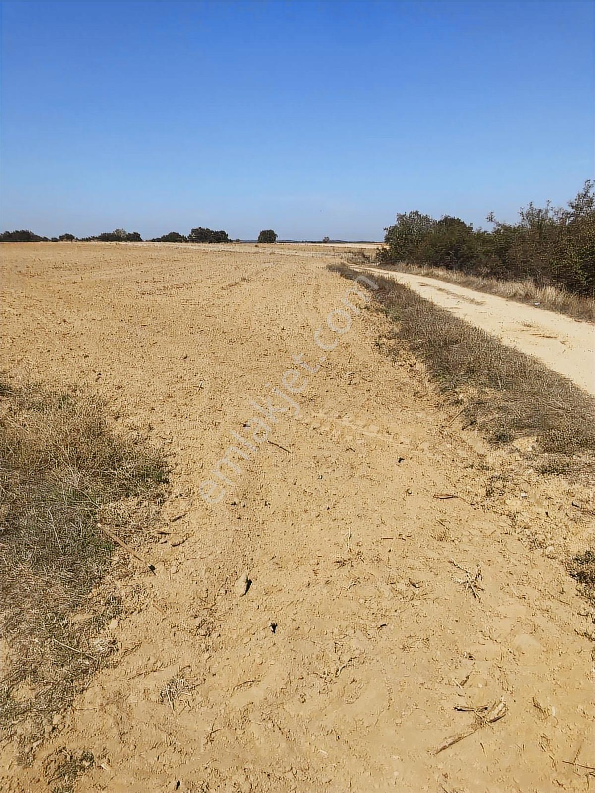 Köşe Başı İki Yola Cepheli Emsalsiz Tarla - Görsel 14