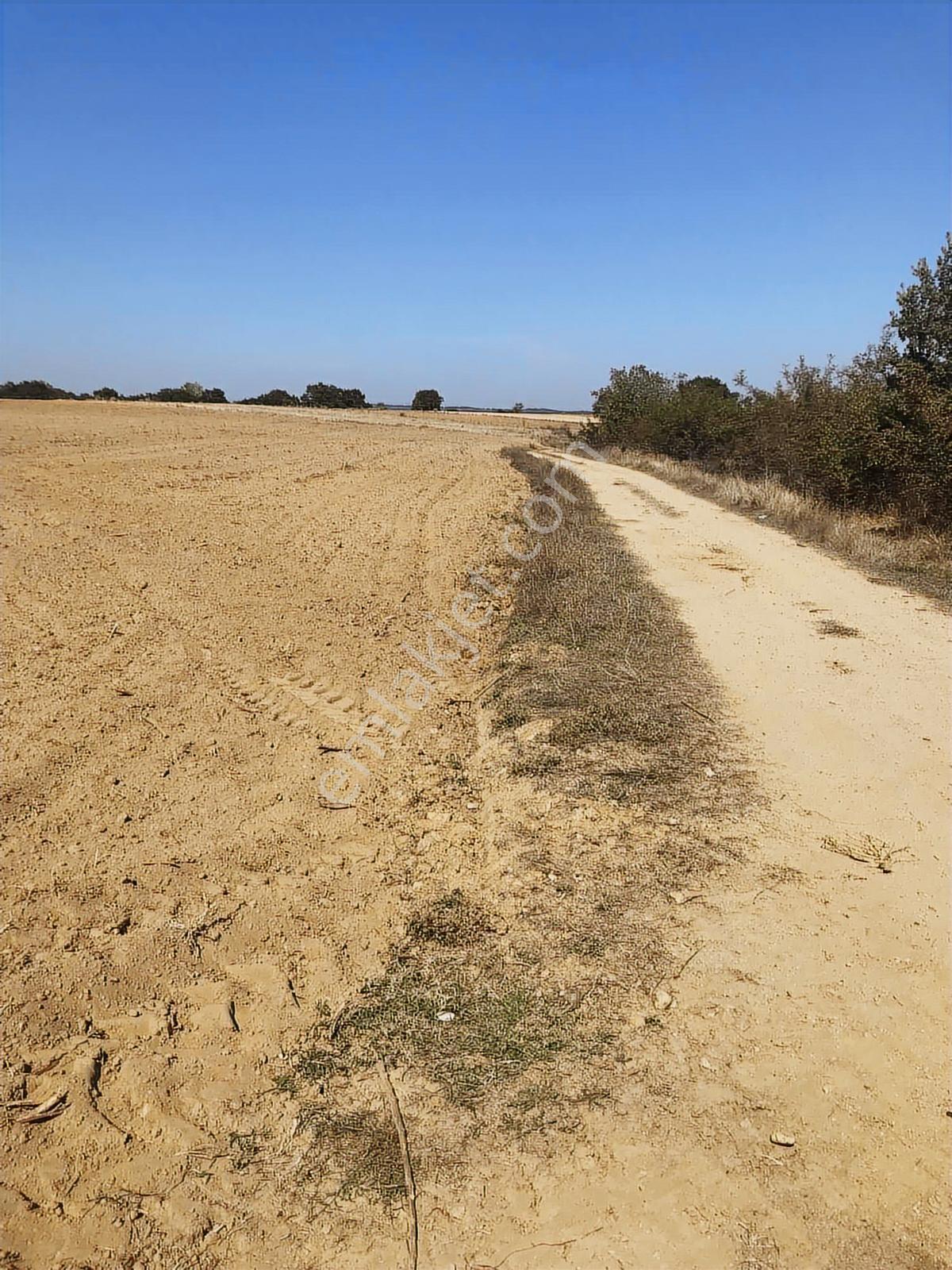 Köşe Başı İki Yola Cepheli Emsalsiz Tarla - Görsel 7