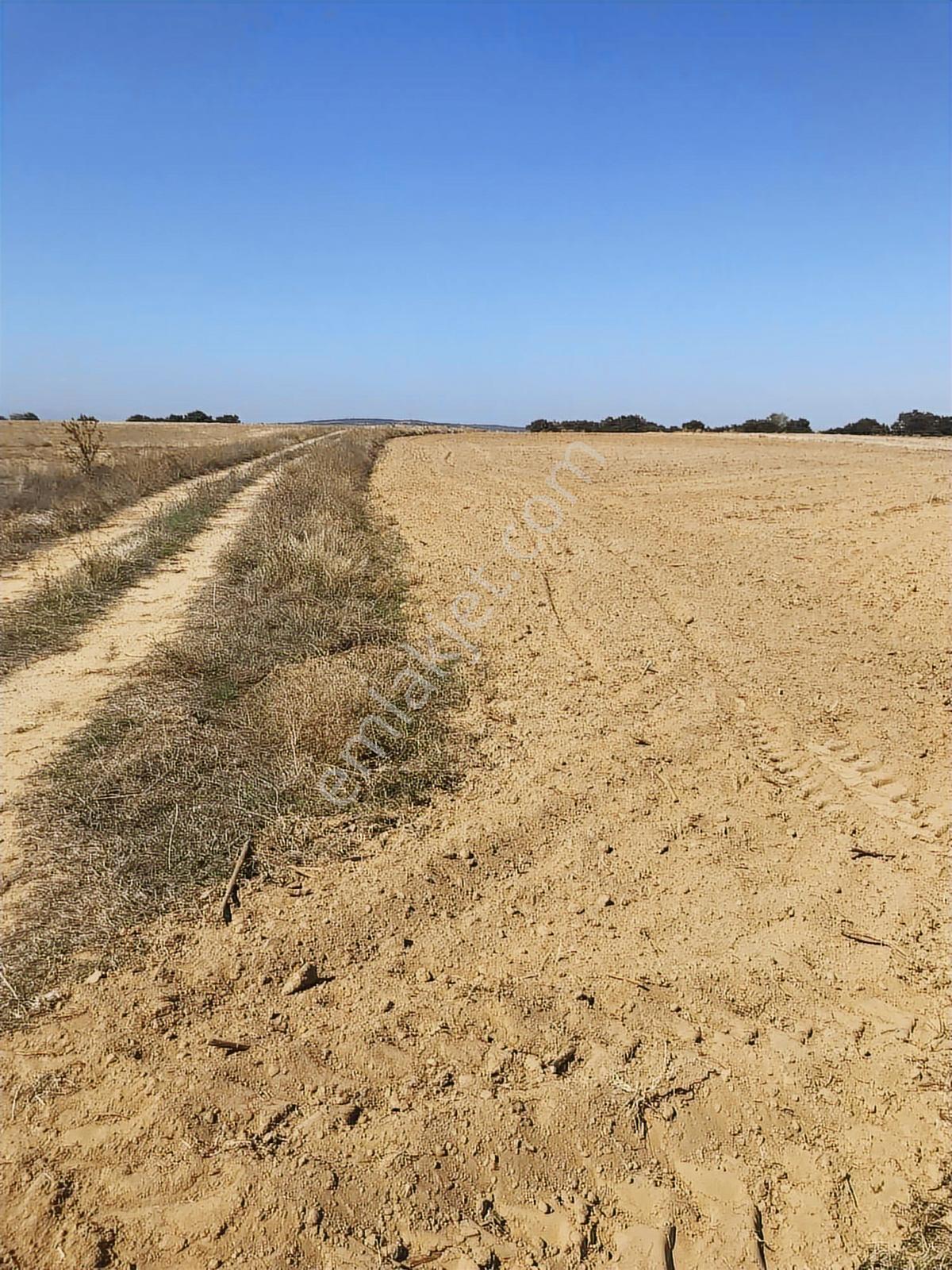Köşe Başı İki Yola Cepheli Emsalsiz Tarla - Görsel 12