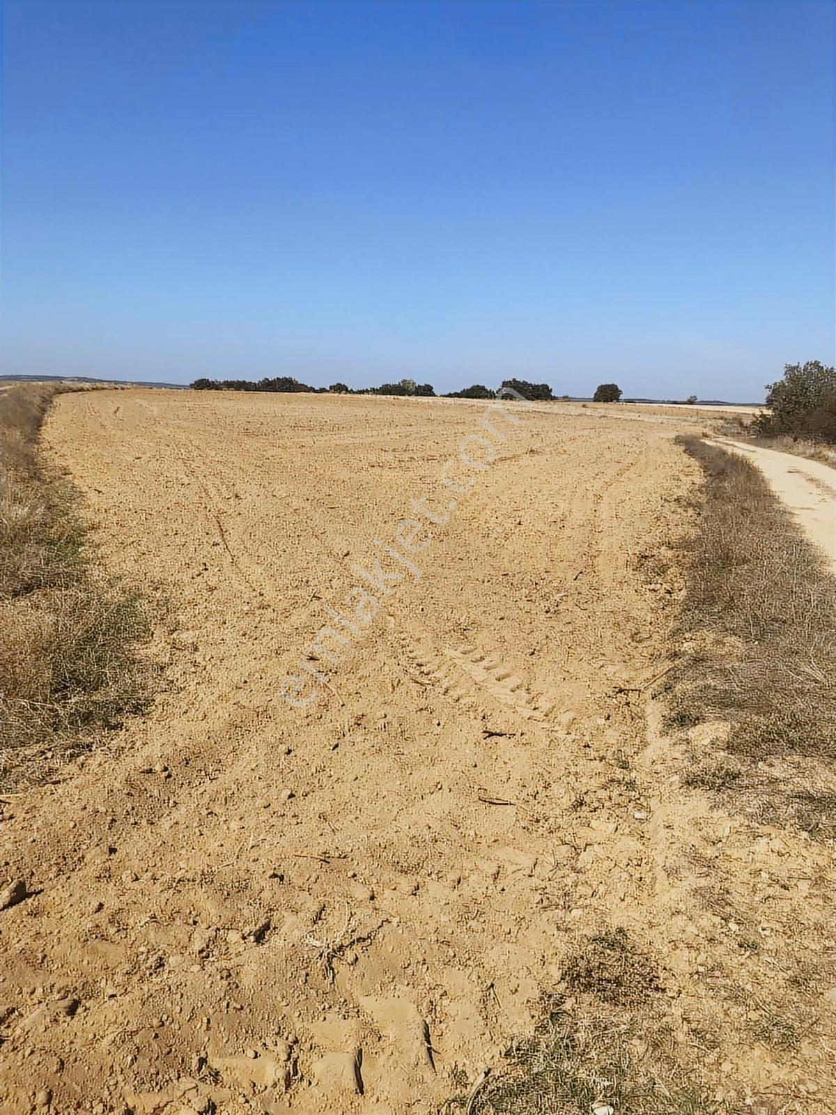 Köşe Başı İki Yola Cepheli Emsalsiz Tarla - Görsel 11