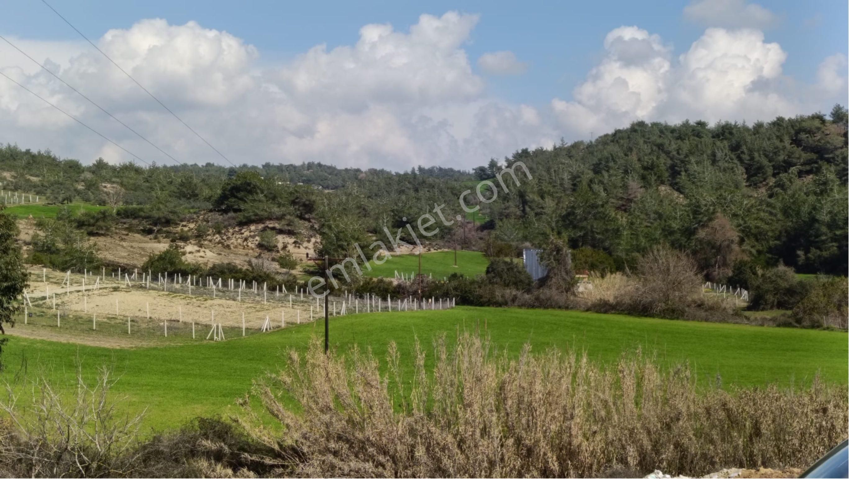 Salbaş Pirilide 250 M2 Tel İle Çevrili Arsa - Görsel 15