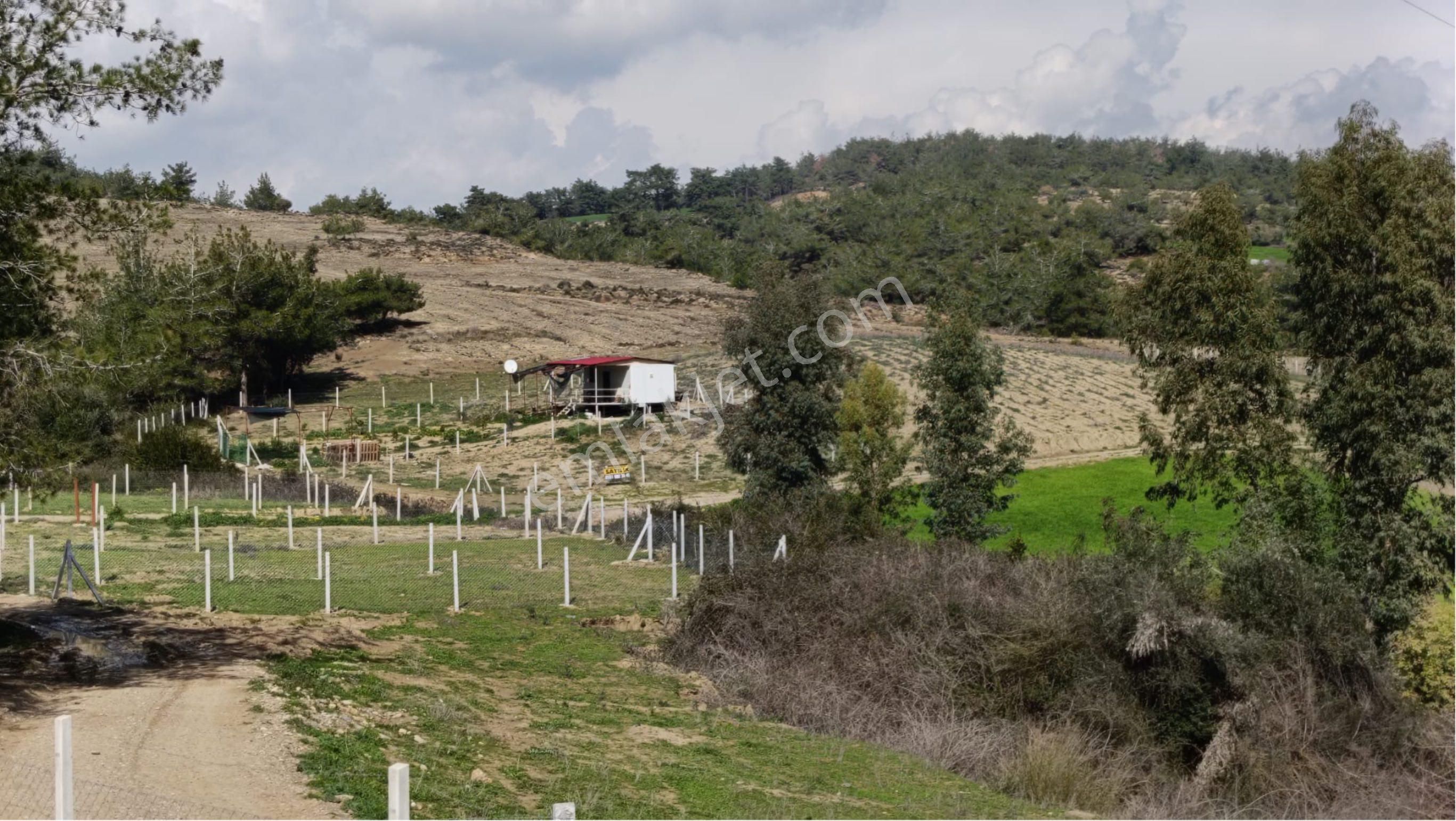 Salbaş Pirilide 250 M2 Tel İle Çevrili Arsa - Görsel 2
