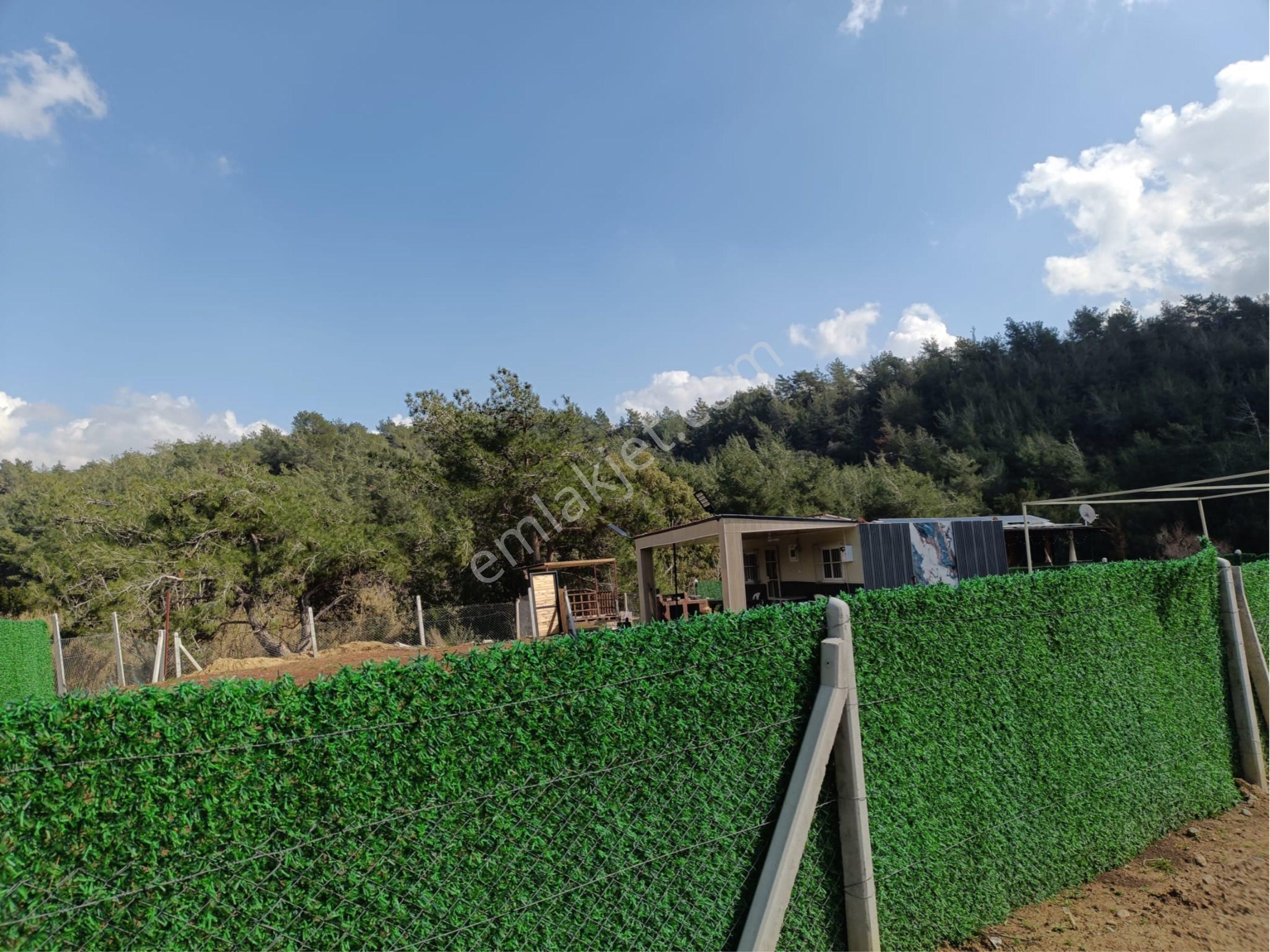 Salbaş Pirilide 250 M2 Tel İle Çevrili Arsa - Görsel 13