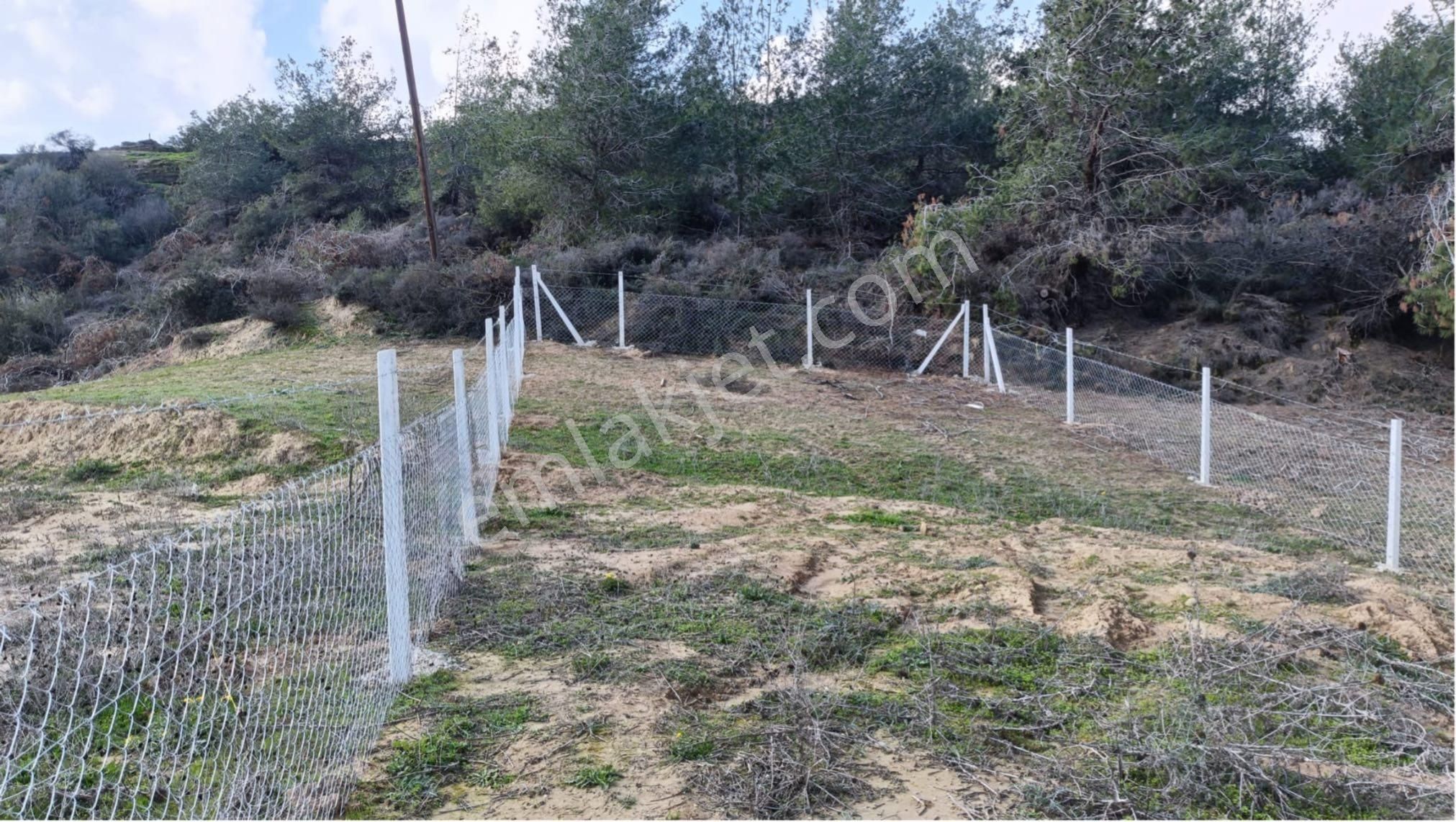 Salbaş Pirilide 250 M2 Tel İle Çevrili Arsa - Görsel 9