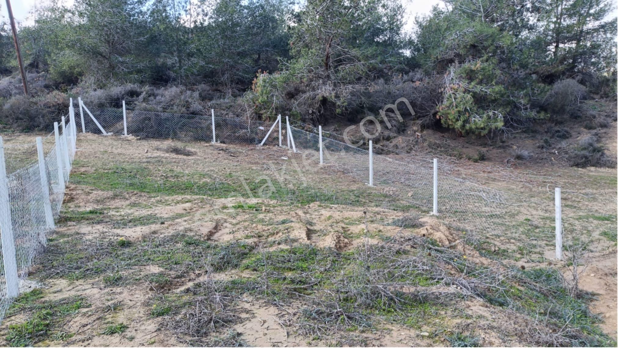 Salbaş Pirilide 250 M2 Tel İle Çevrili Arsa - Görsel 5