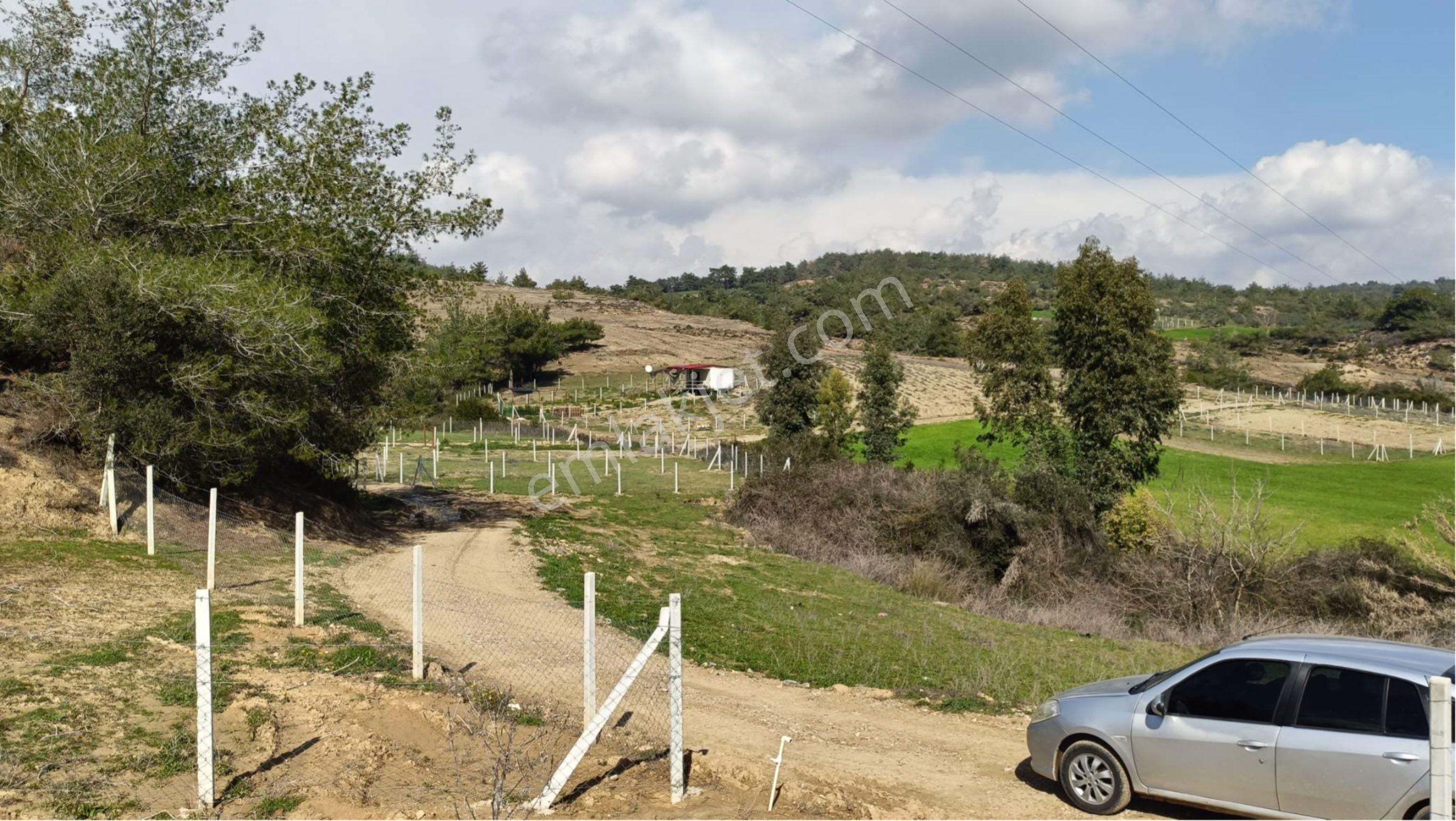 Salbaş Pirilide 250 M2 Tel İle Çevrili Arsa - Görsel 12