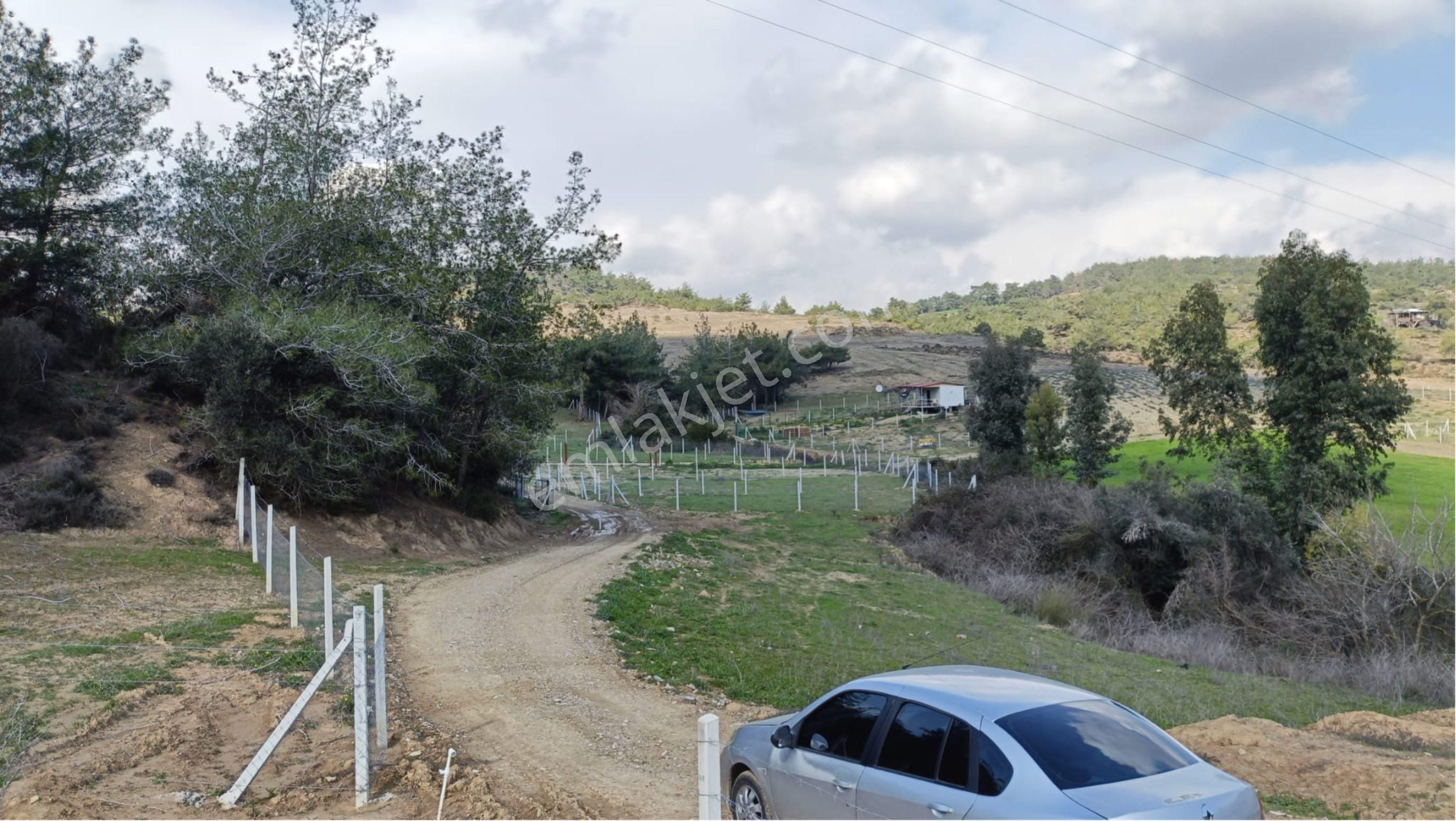 Salbaş Pirilide 250 M2 Tel İle Çevrili Arsa - Görsel 14