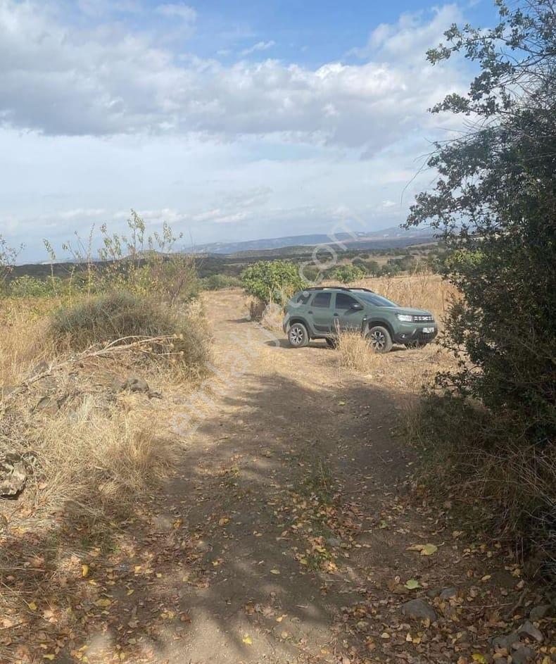 Manisa Kula'da 3dönüm Tarla İçinde Badem Zeytin Ve Üzüm Bağı Var - Görsel 2