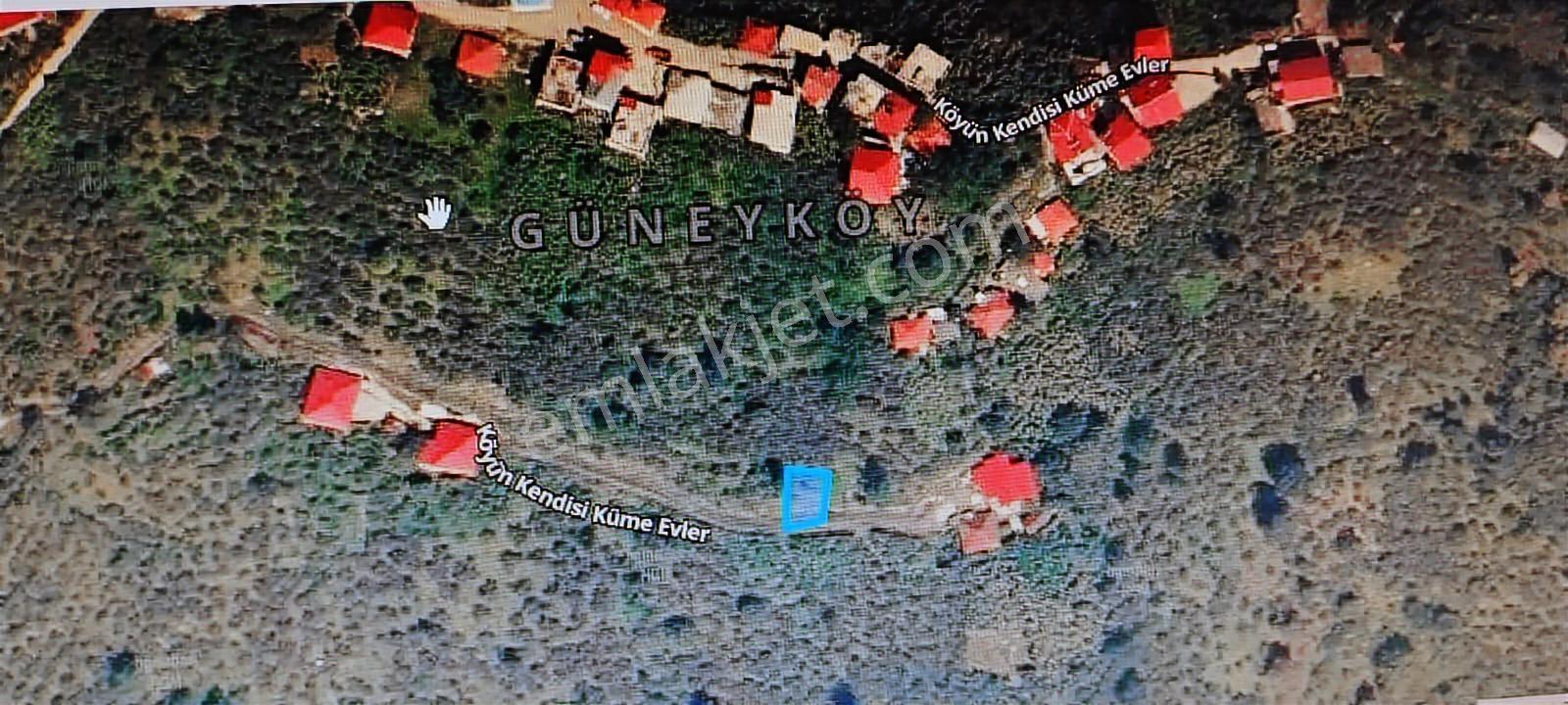 Giresun Görele Güneyköy'de Tek Tapu Fiyatı - Görsel 3