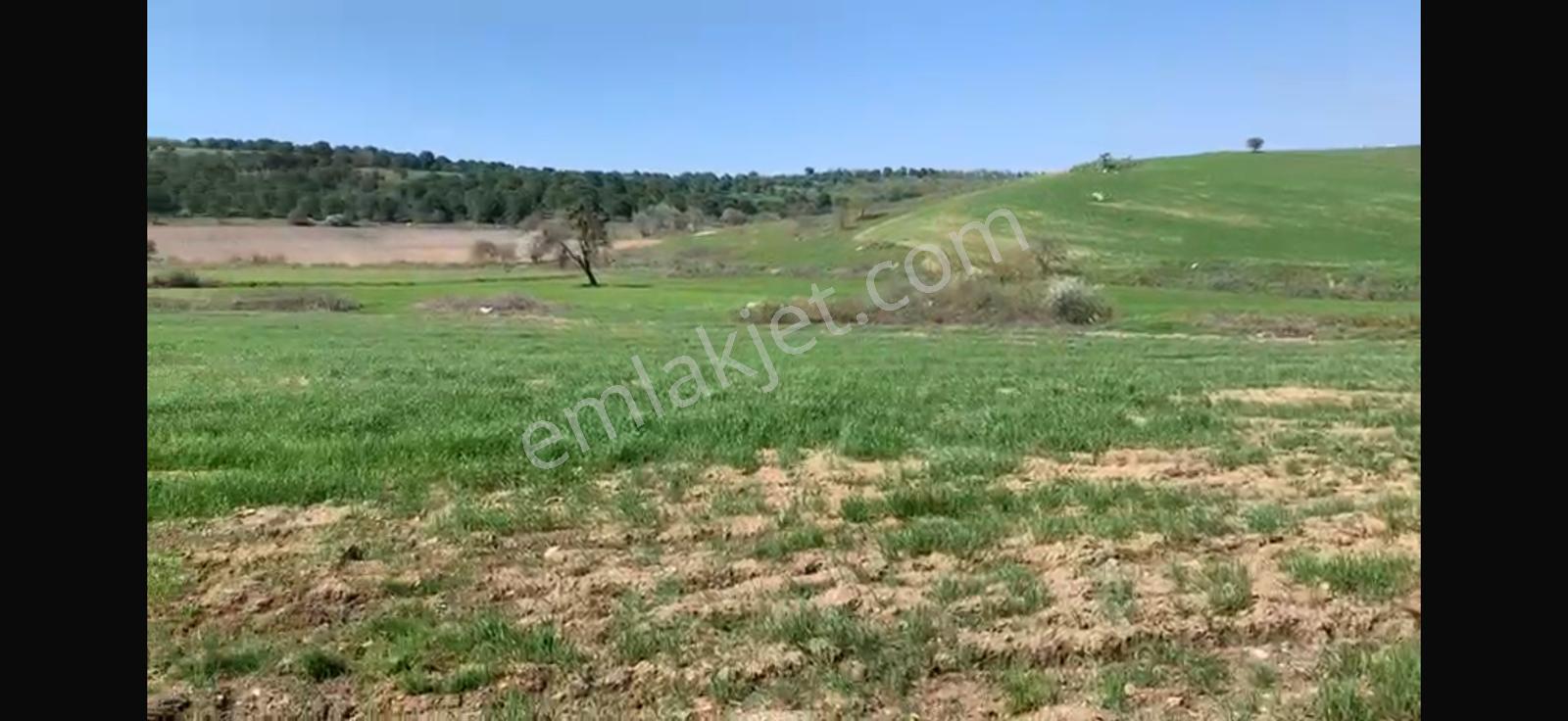 Cb King'den Balıkesir/kürse Mahallesi 6935m² Satılık Tarla - Görsel 10