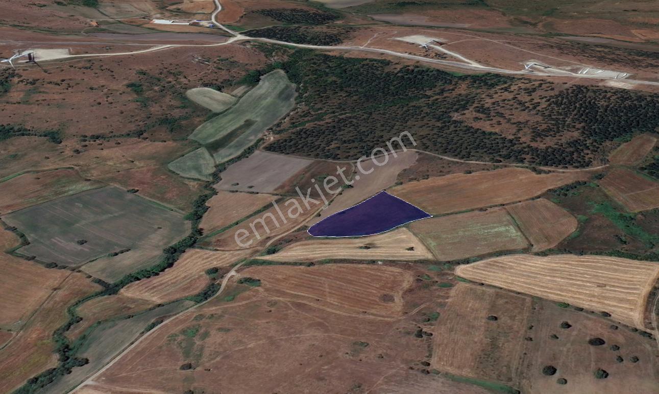 Cb King'den Balıkesir/kürse Mahallesi 6935m² Satılık Tarla - Görsel 3