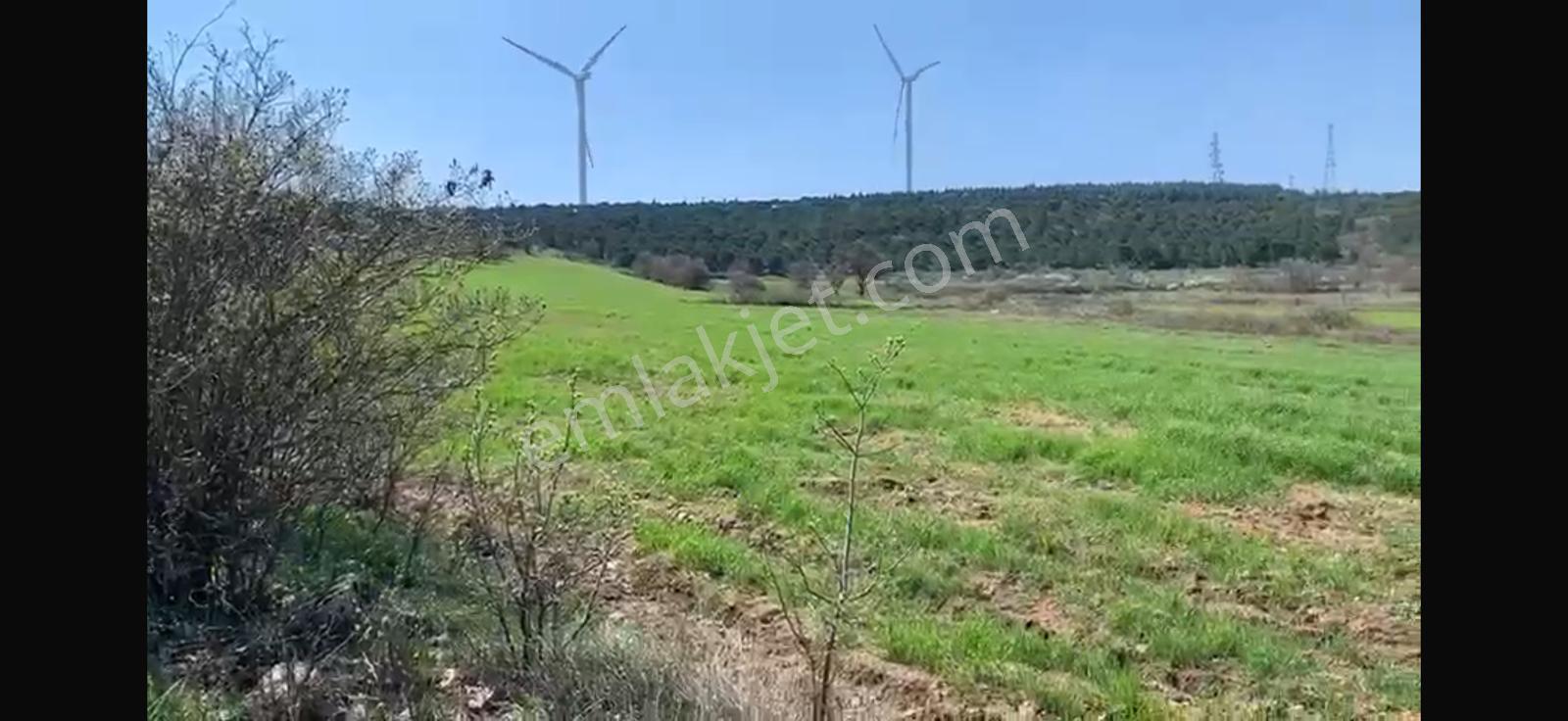 Cb King'den Balıkesir/kürse Mahallesi 6935m² Satılık Tarla - Görsel 20