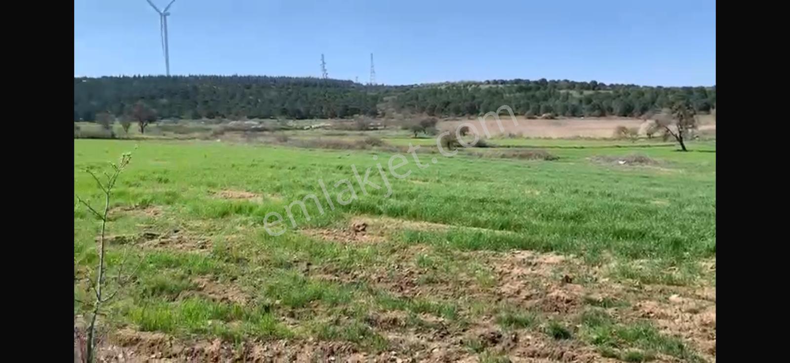 Cb King'den Balıkesir/kürse Mahallesi 6935m² Satılık Tarla - Görsel 17