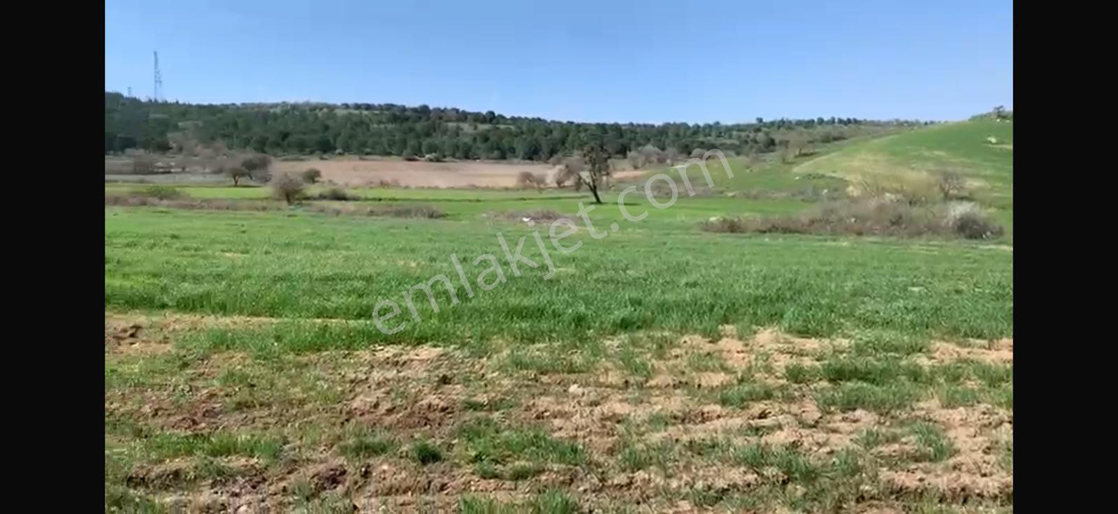 Cb King'den Balıkesir/kürse Mahallesi 6935m² Satılık Tarla - Görsel 16