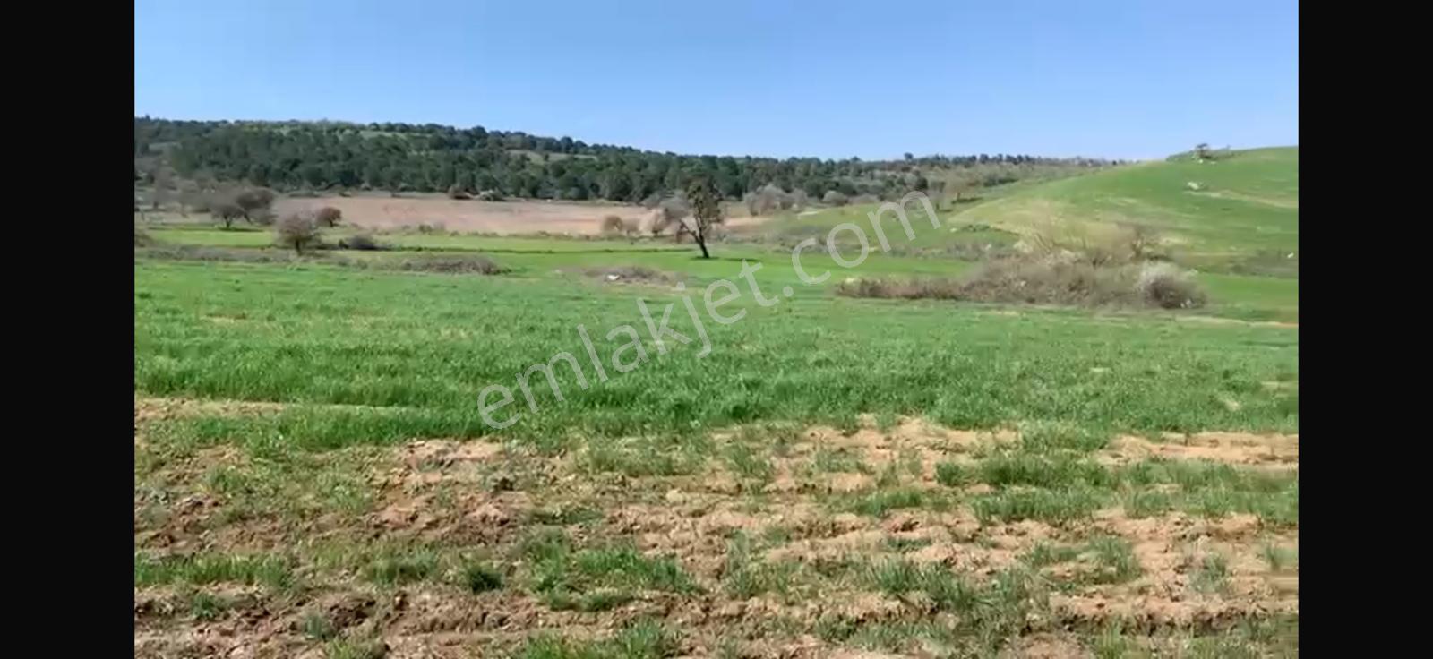 Cb King'den Balıkesir/kürse Mahallesi 6935m² Satılık Tarla - Görsel 13