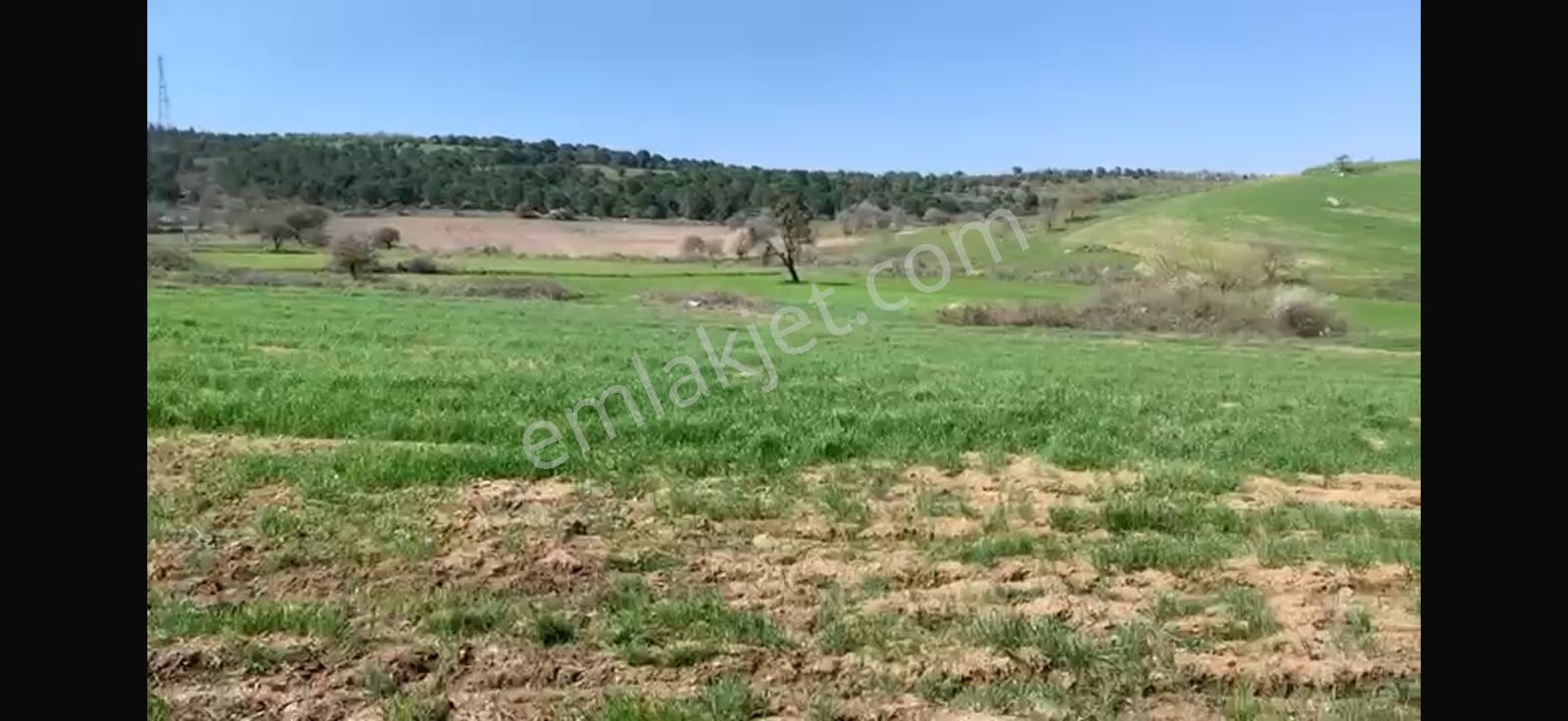 Cb King'den Balıkesir/kürse Mahallesi 6935m² Satılık Tarla - Görsel 12