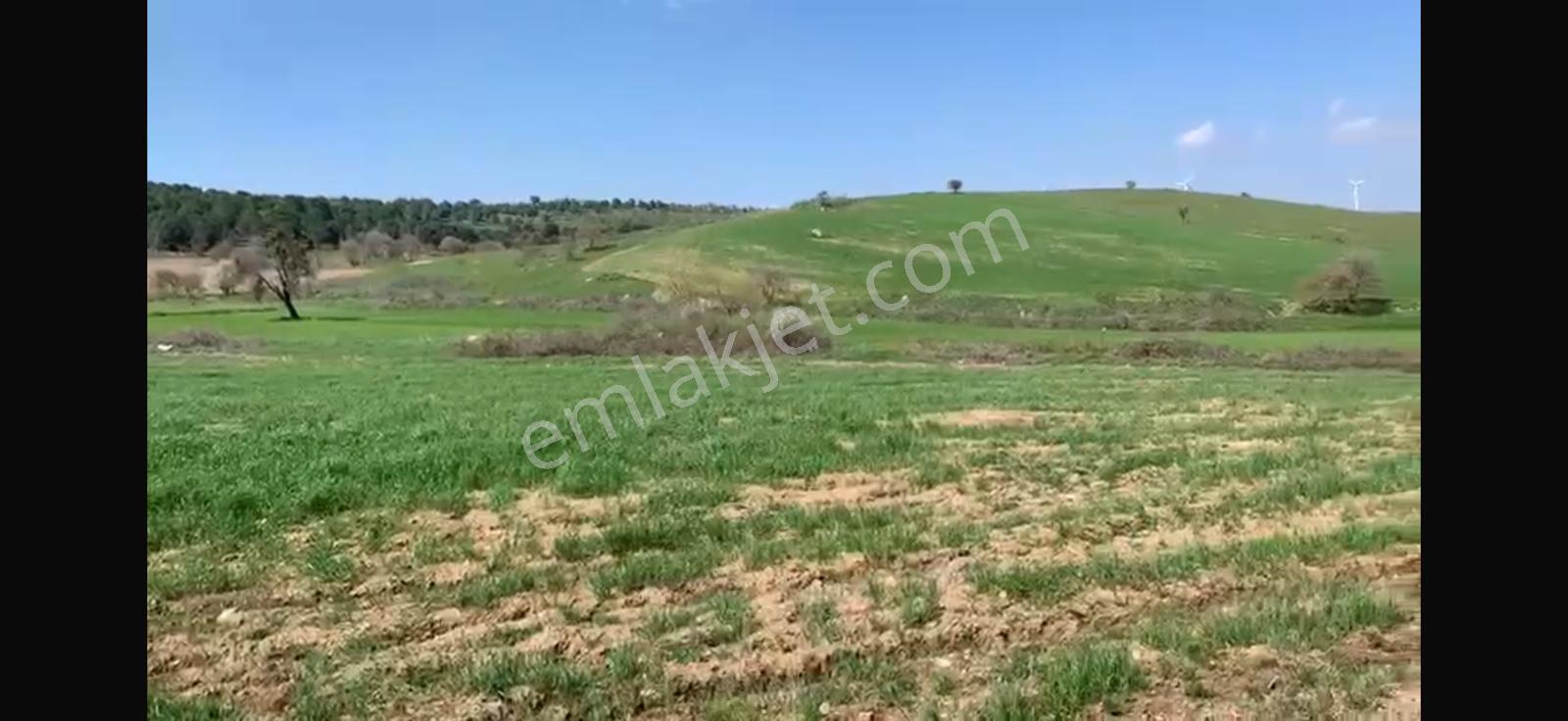 Cb King'den Balıkesir/kürse Mahallesi 6935m² Satılık Tarla - Görsel 14