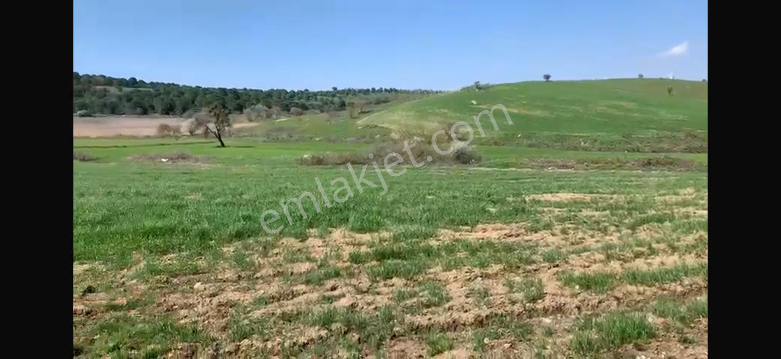 Cb King'den Balıkesir/kürse Mahallesi 6935m² Satılık Tarla - Görsel 15