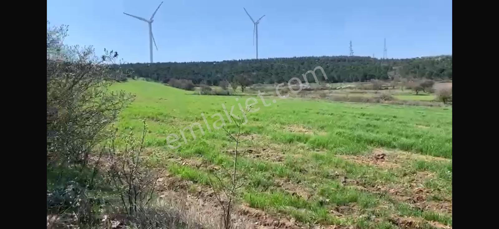 Cb King'den Balıkesir/kürse Mahallesi 6935m² Satılık Tarla - Görsel 18