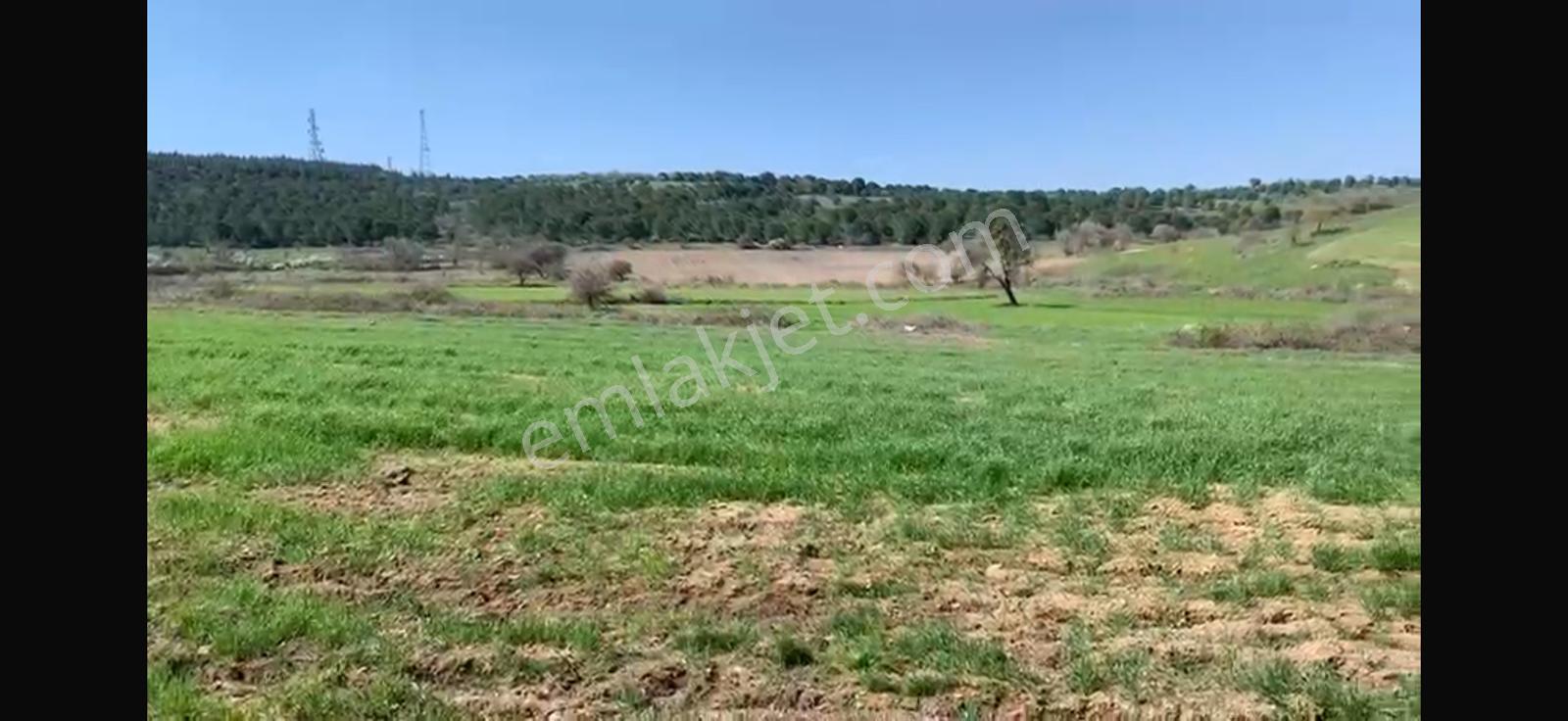 Cb King'den Balıkesir/kürse Mahallesi 6935m² Satılık Tarla - Görsel 19