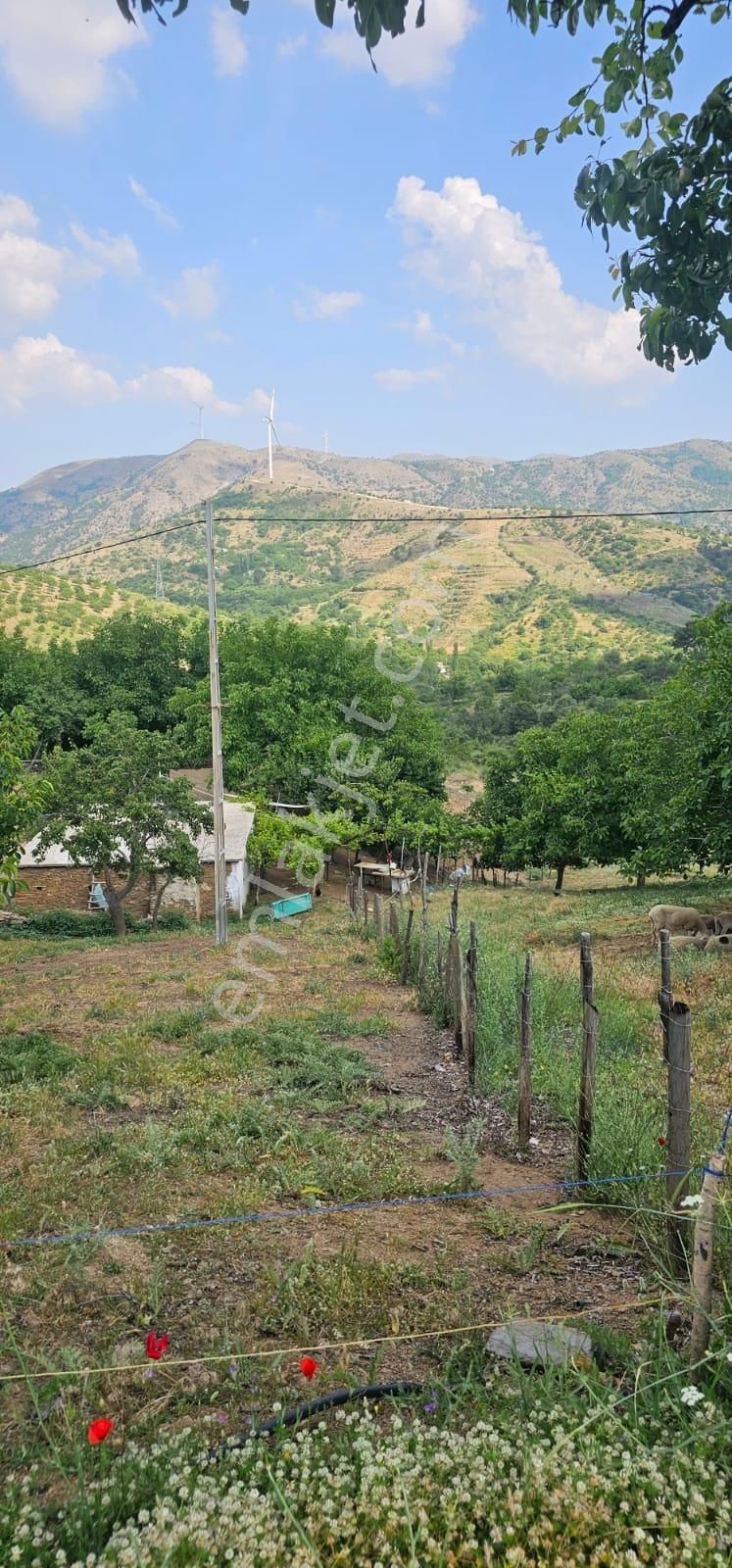 İzmir Tirede Satılık Meyve Bahçesi - Görsel 3