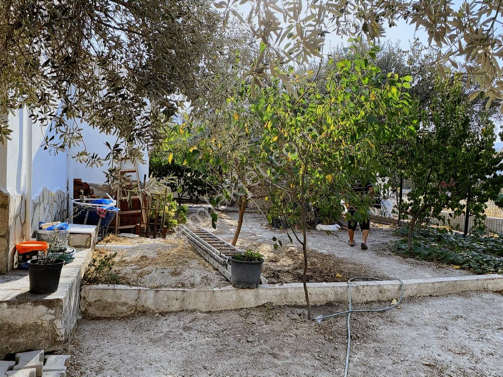 Karaburunda 500m2 Arsa İçinde Tam Müstakil Satılık Villa - Görsel 4