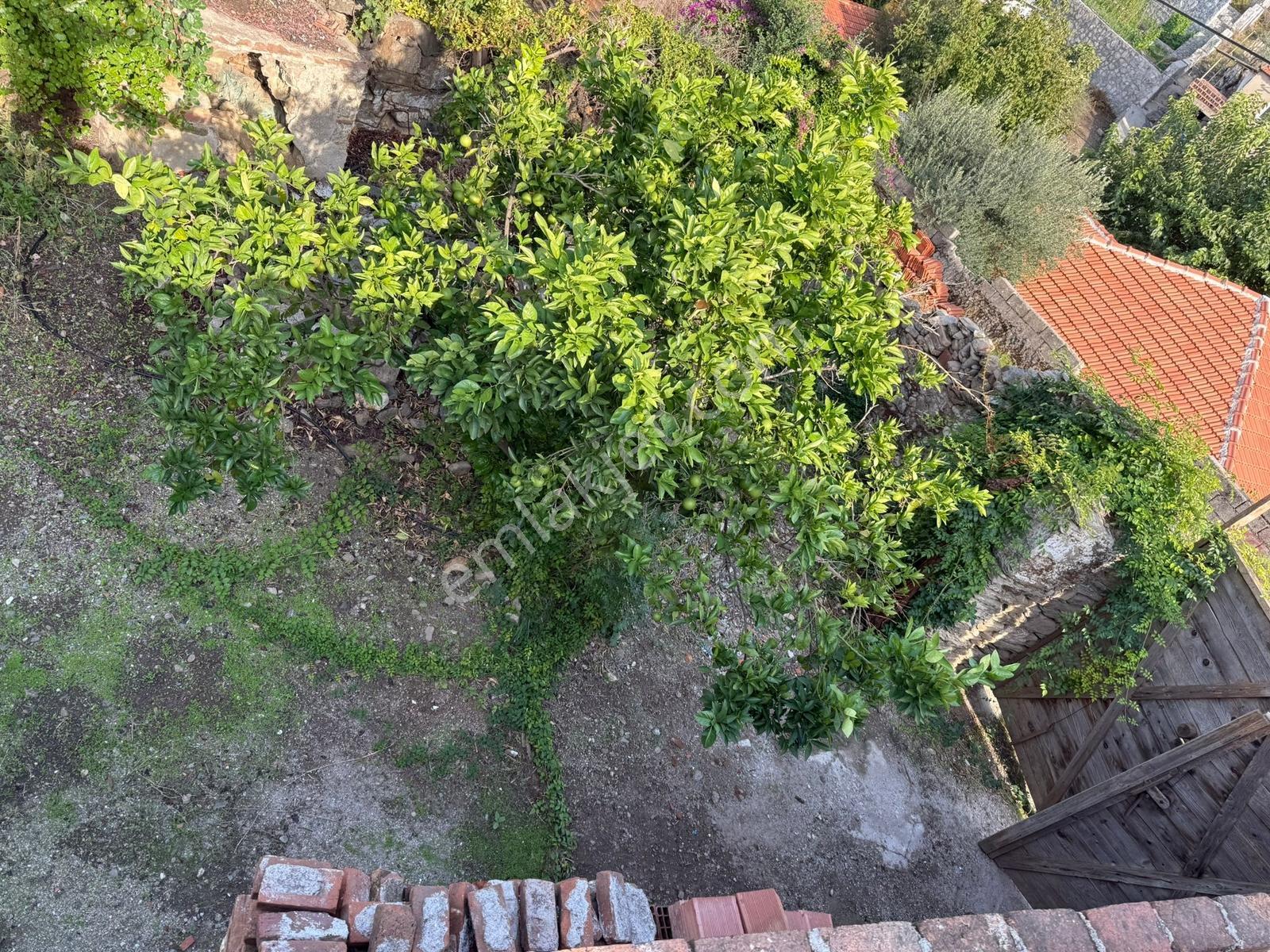 Bafa Milas Da Satılık Taş Ev - Görsel 9