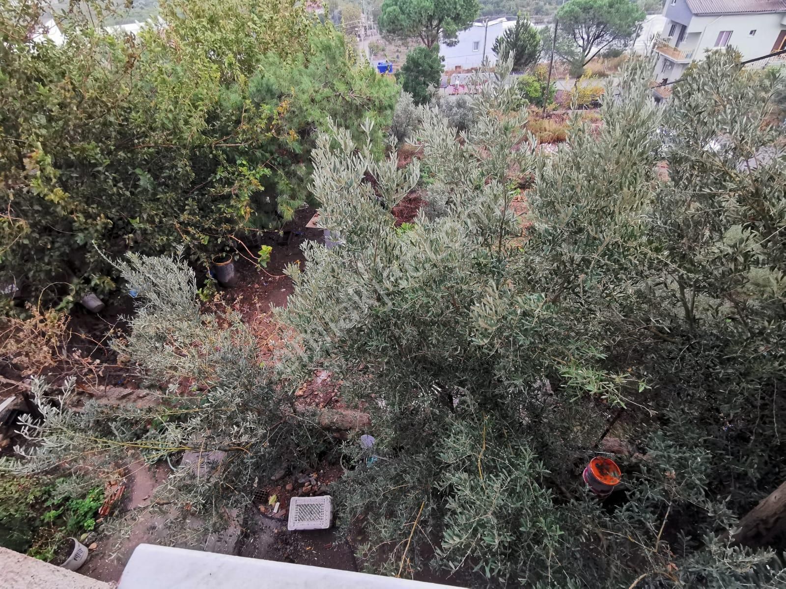 Rota Emlaktan Gümüldürde Deniz Ve Doğa Manzaralı 2+1eşyalı Daire - Görsel 32