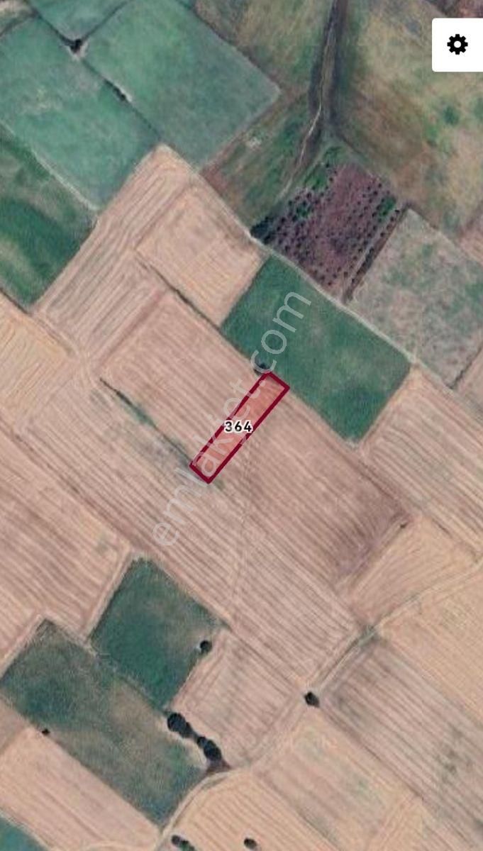Selçuklu'dan Sultaniyede Yerleşime Yakın Fırsat Tarla - Görsel 2