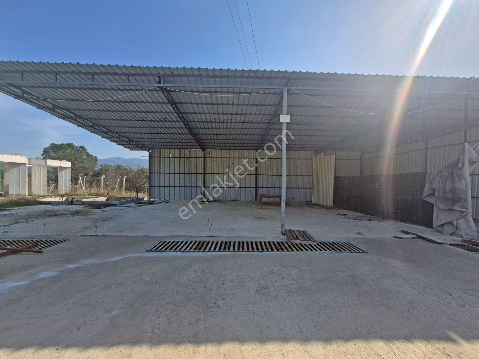 Bozdoğan'da 4850 M² Arsa İçinde Satılık Tesis/bina - Görsel 12