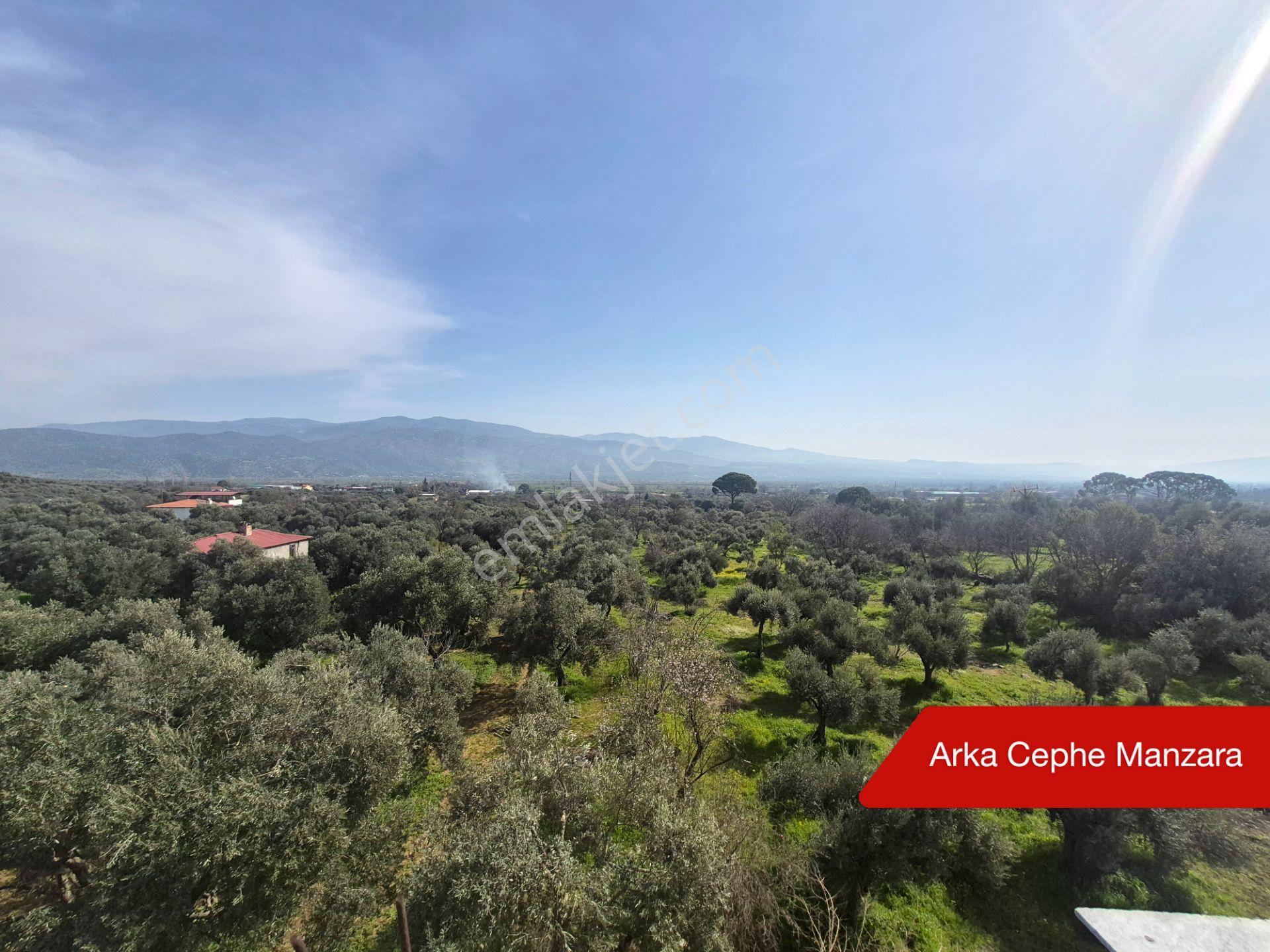 Bozdoğan'da 4850 M² Arsa İçinde Satılık Tesis/bina - Görsel 29