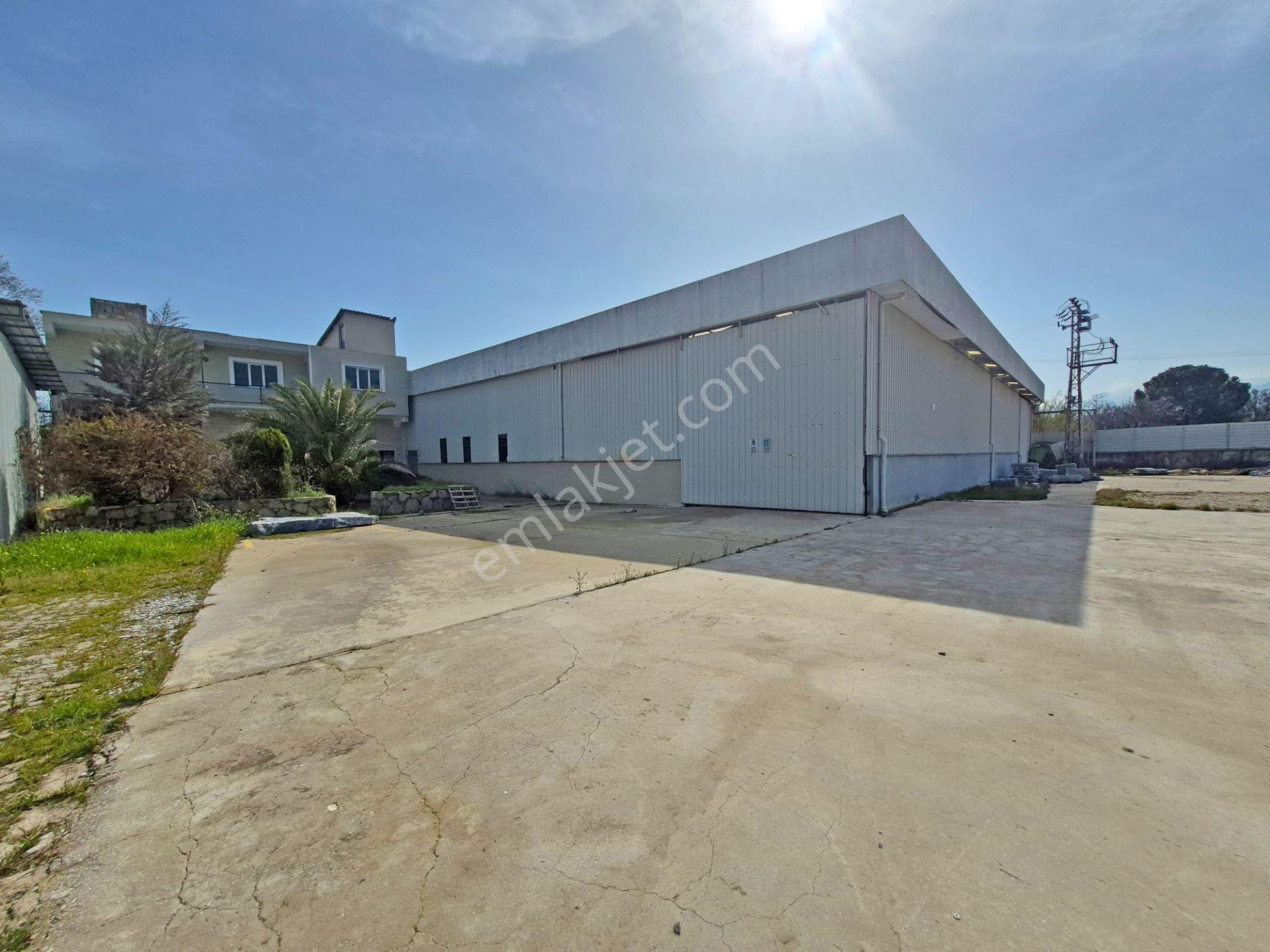 Bozdoğan'da 4850 M² Arsa İçinde Satılık Tesis/bina - Görsel 4