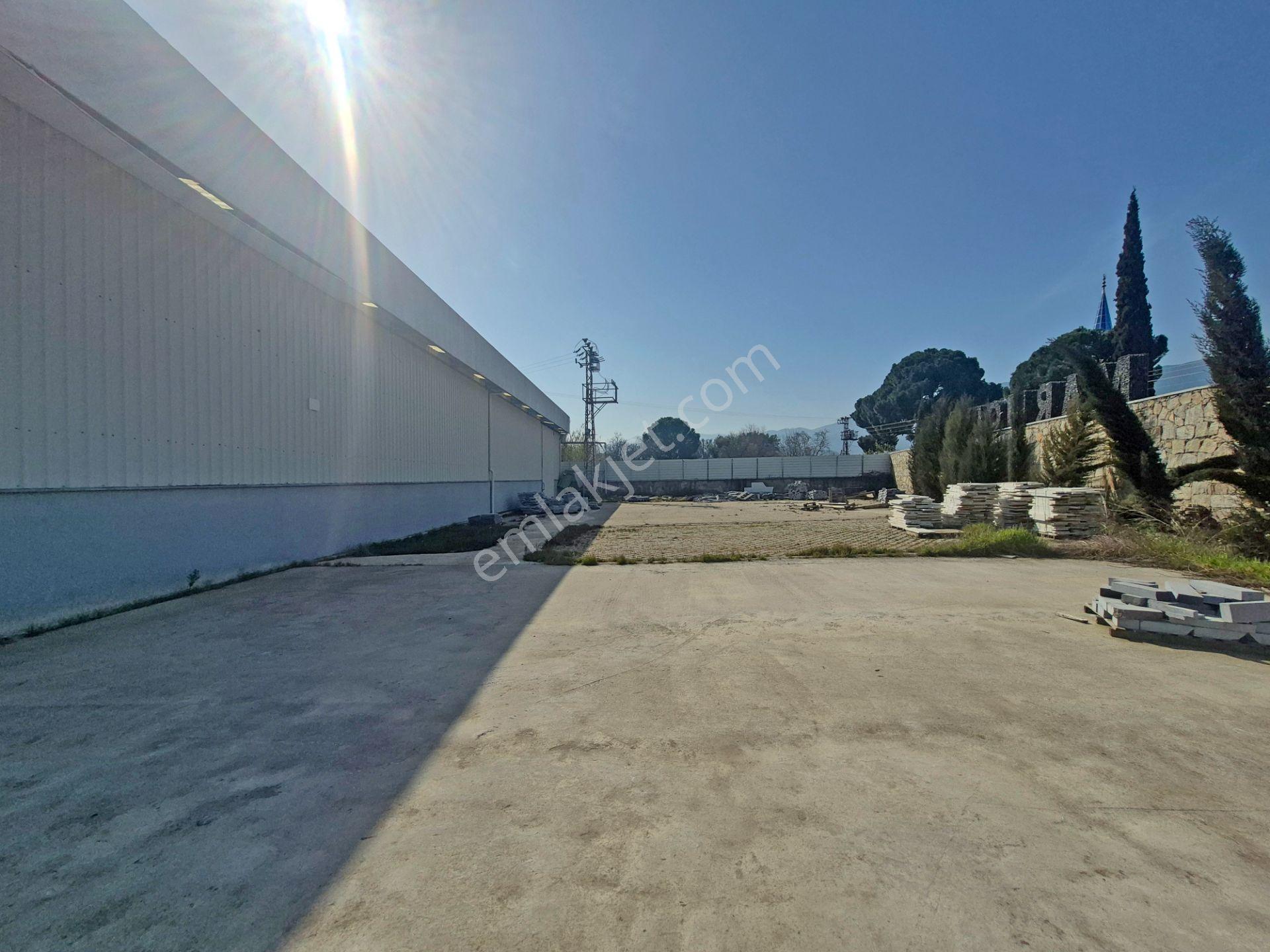 Bozdoğan'da 4850 M² Arsa İçinde Satılık Tesis/bina - Görsel 13