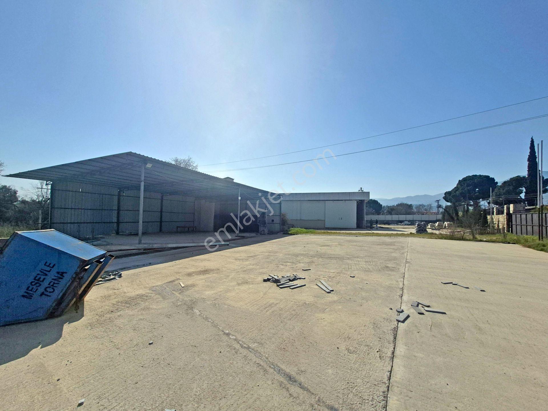 Bozdoğan'da 4850 M² Arsa İçinde Satılık Tesis/bina - Görsel 3