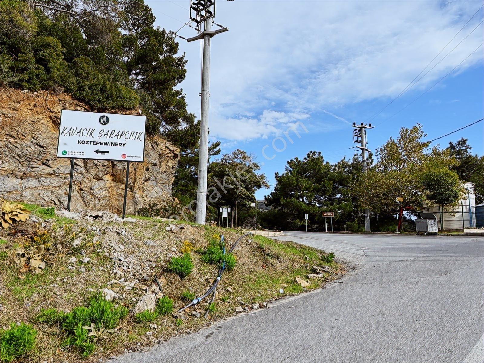 İzmir Kavacıkta Satılık Bağ - Görsel 8