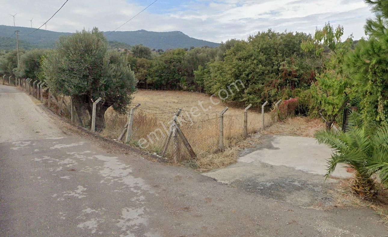 İzmir Foça Kozbeylide Satılık Tarla - Görsel 3