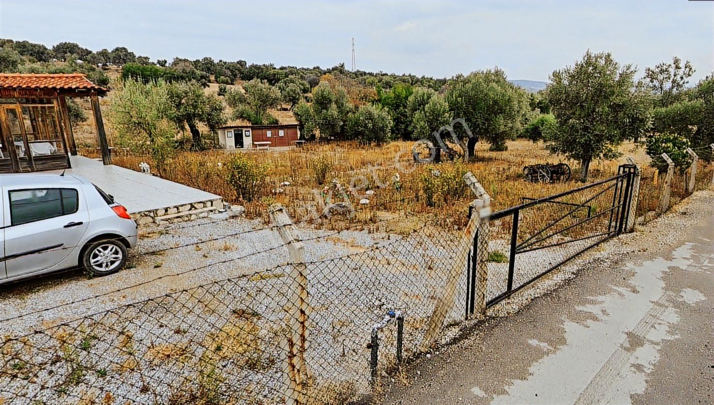 İzmir Foça Kozbeylide Satılık Tarla - Görsel 5