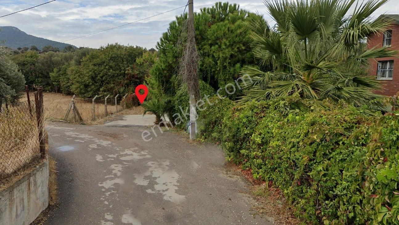 İzmir Foça Kozbeylide Satılık Tarla