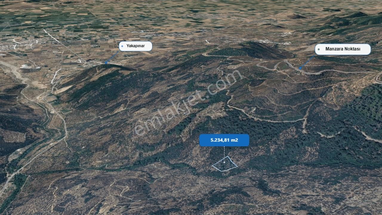 Bayındır Yakapınarda 5.234 M² Satılık Zeytinlik - Görsel 2
