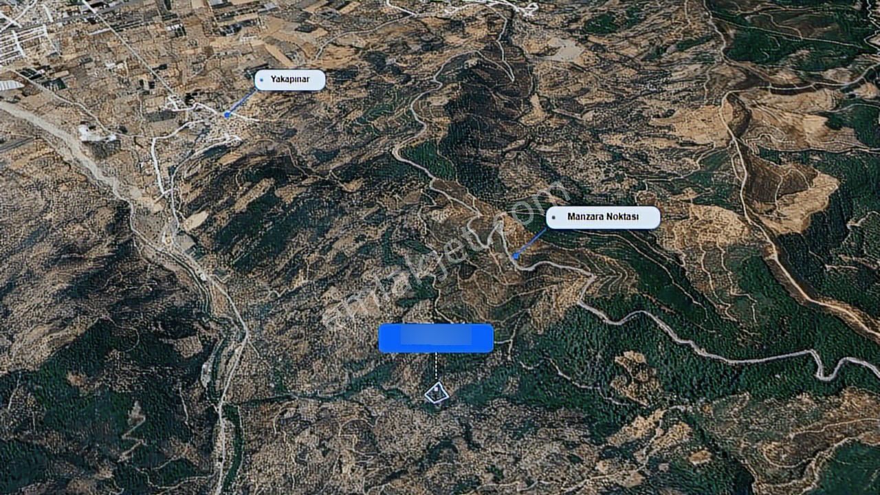 Bayındır Yakapınarda 5.234 M² Satılık Zeytinlik - Görsel 6