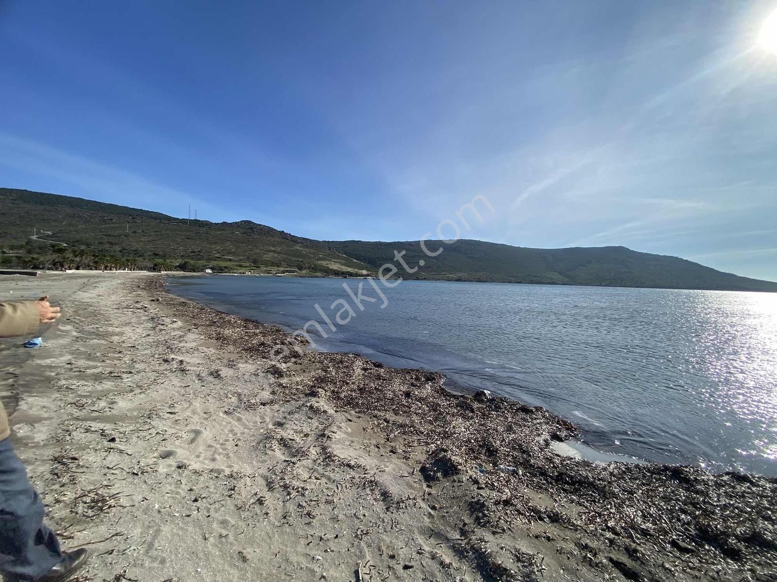 Urla Zeytineli Köyünde Denize 600m Mesafede Satılık Tarla - Görsel 12