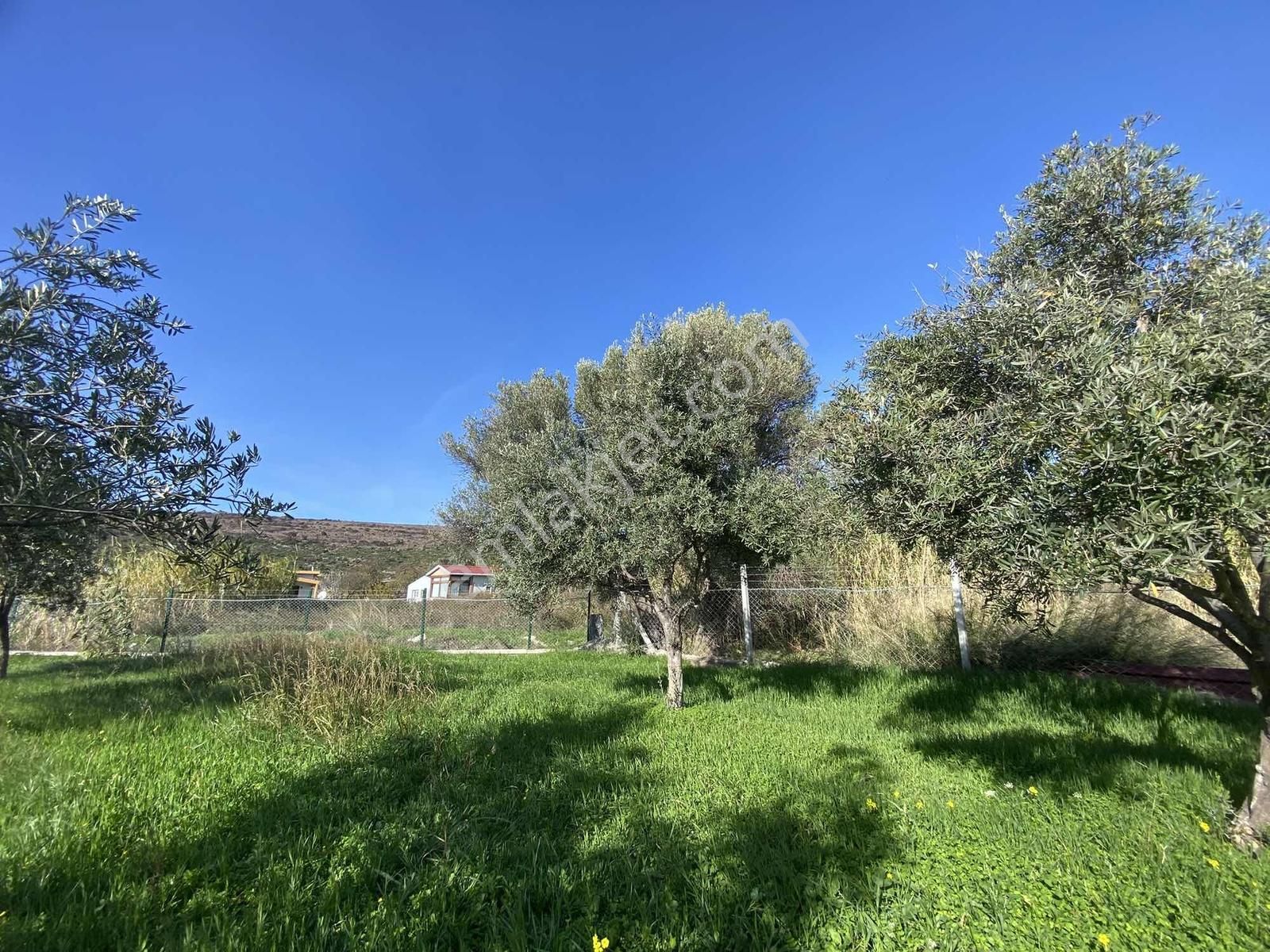 Urla Zeytineli Köyünde Denize 600m Mesafede Satılık Tarla - Görsel 22