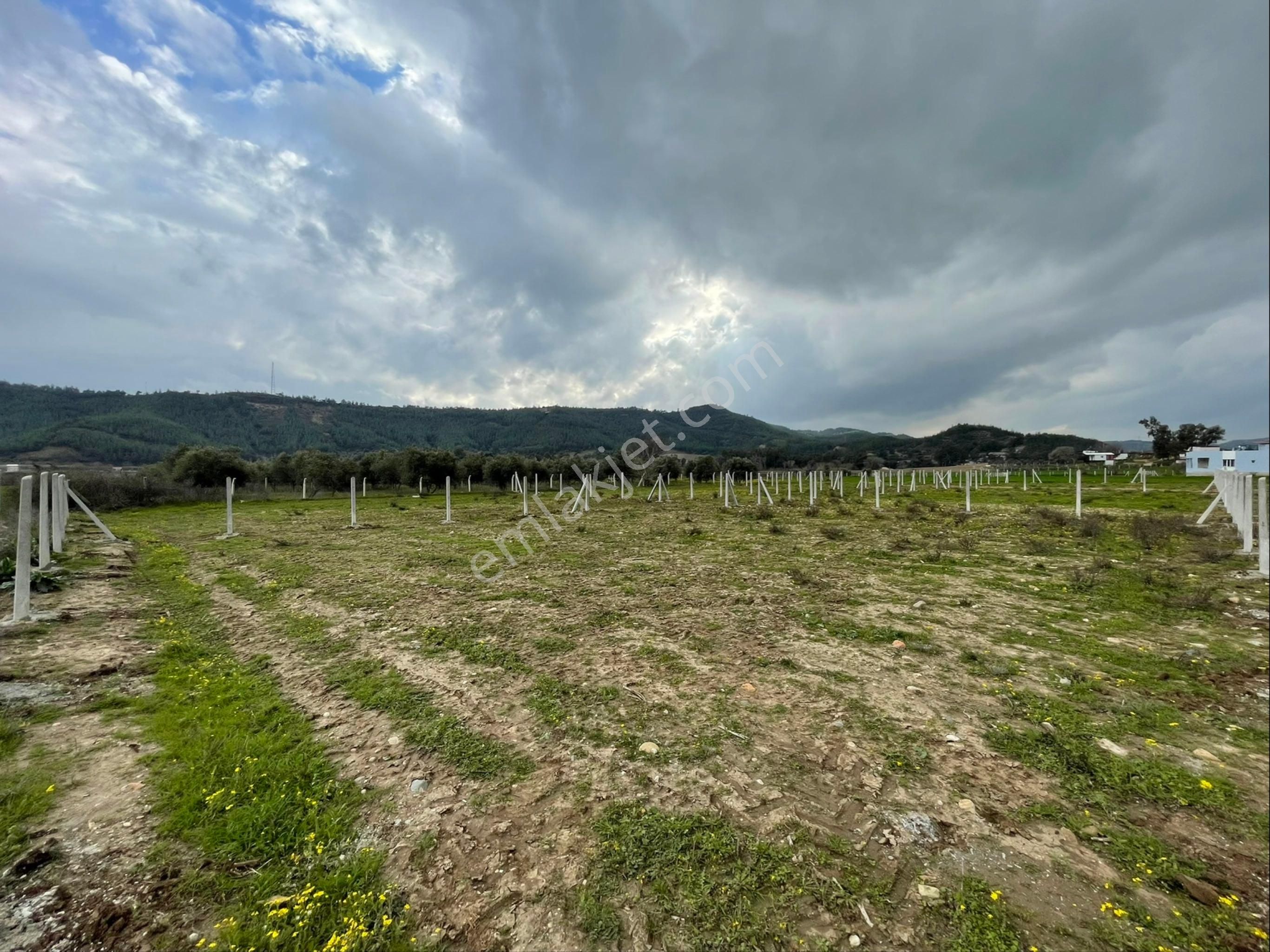 Salbaş Merkezde 416 M2 Tel İle Çevrili Satılık Arsa - Görsel 5