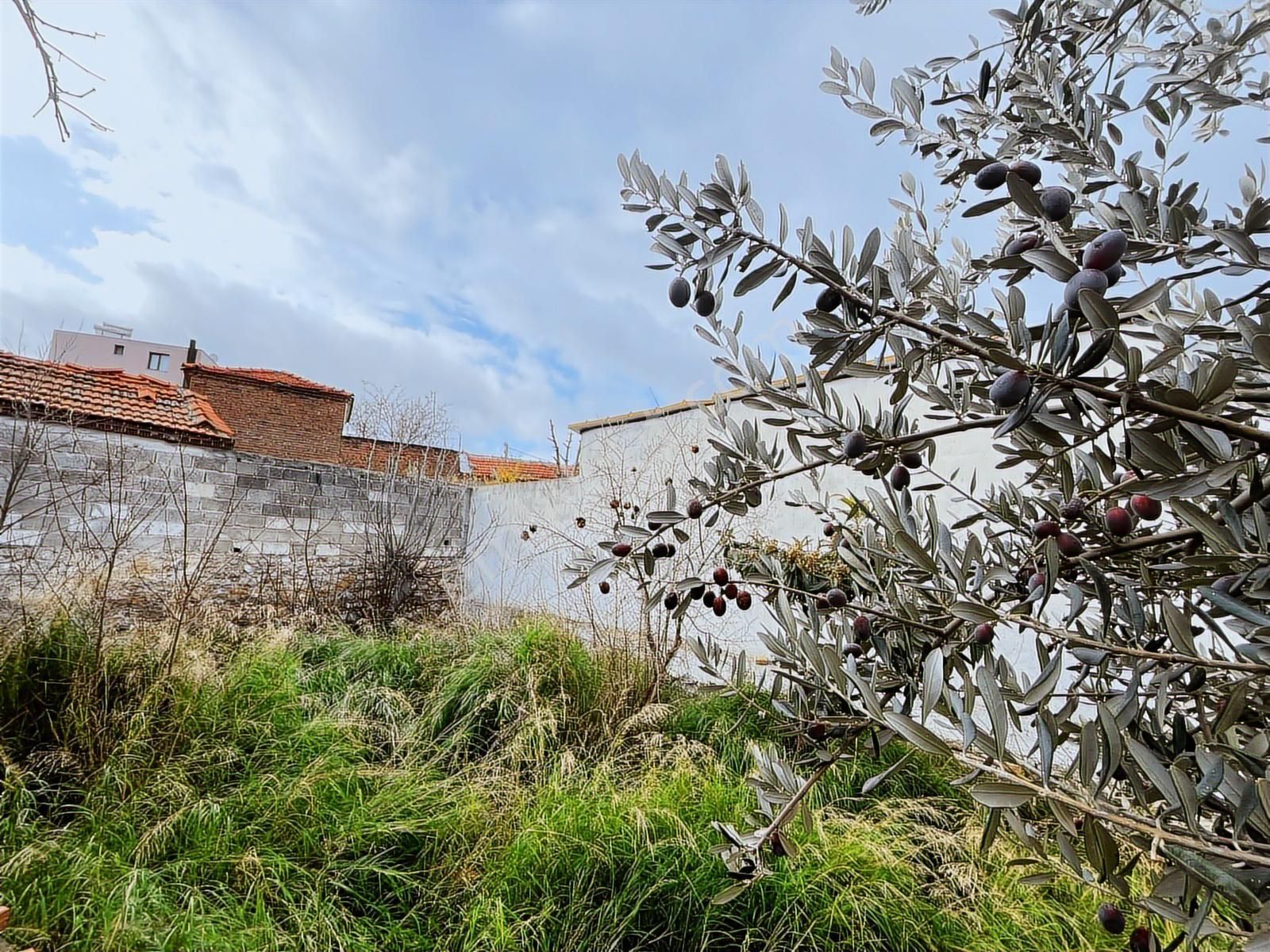 Bergama Zeytindağ Satılık Müstakil Taş Ev Ve Arsası - Görsel 22